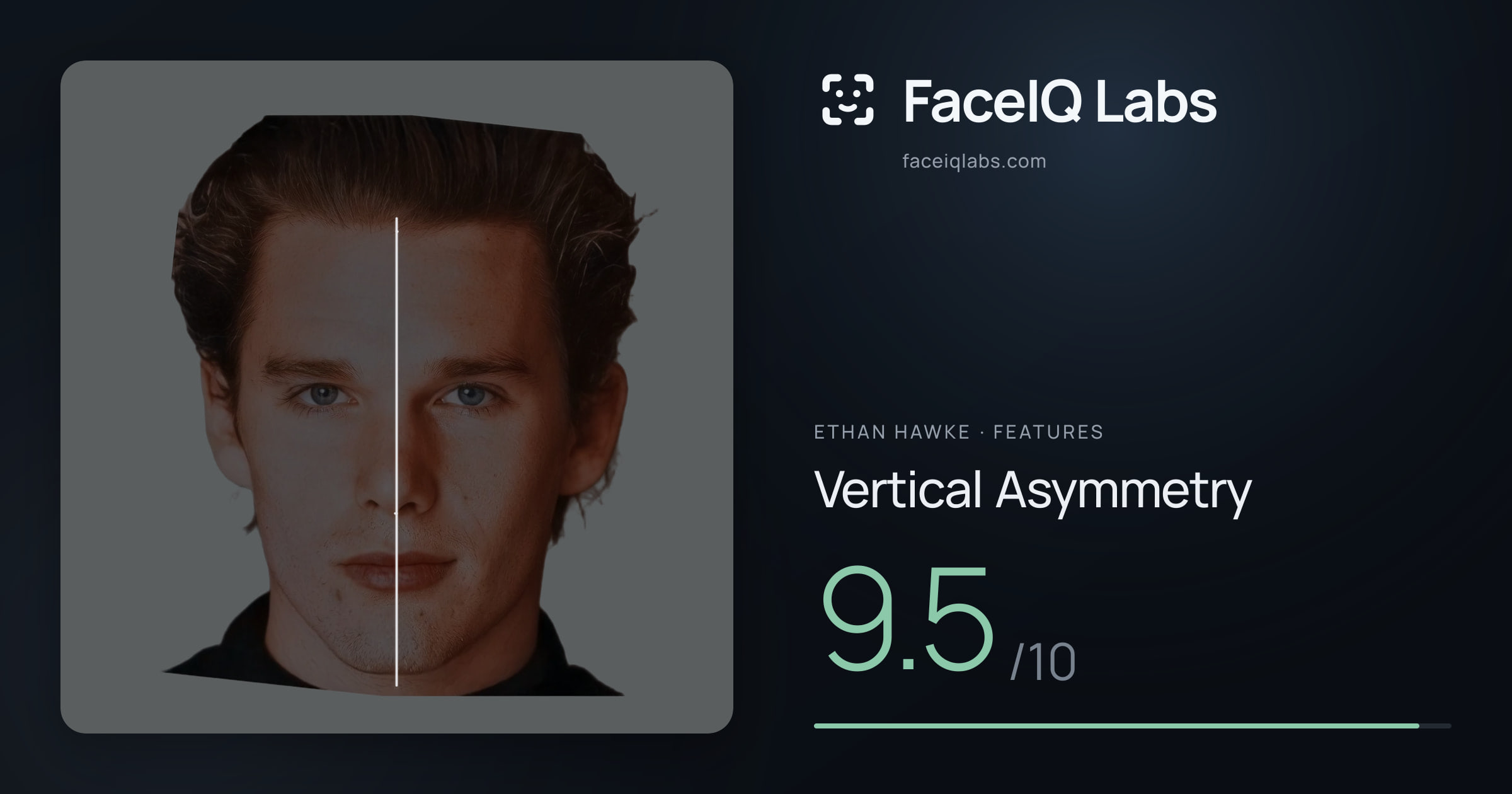 Ethan Hawke Vertical Asymmetry: 9.5/10, drawn on the photo