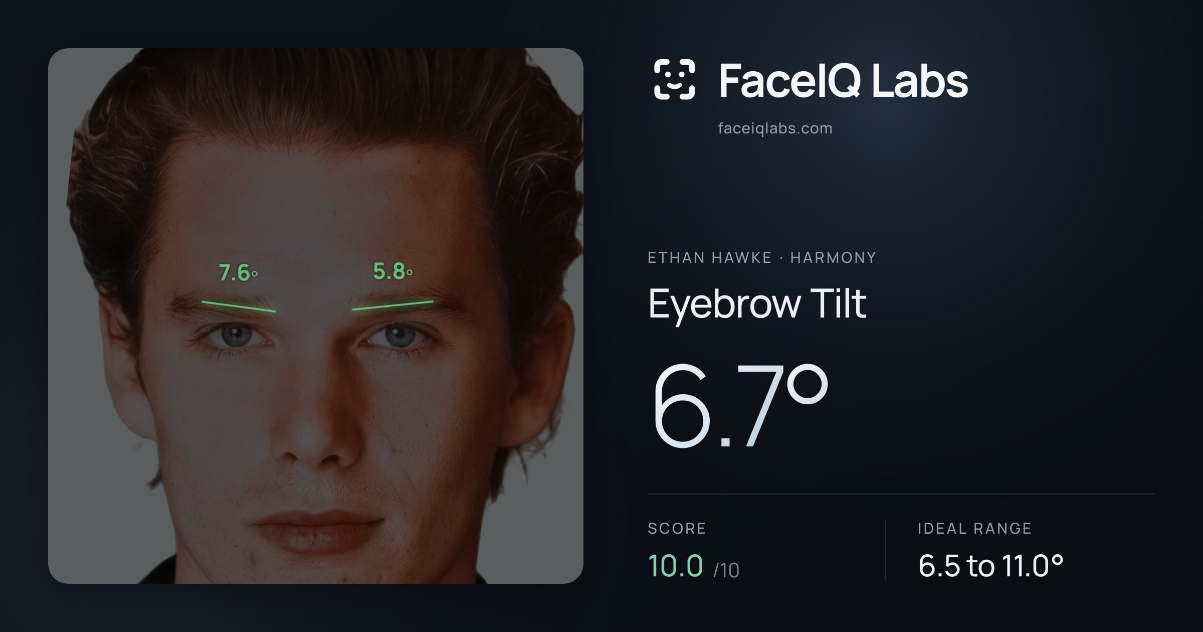 Ethan Hawke Eyebrow Tilt: 6.7°, drawn on the photo