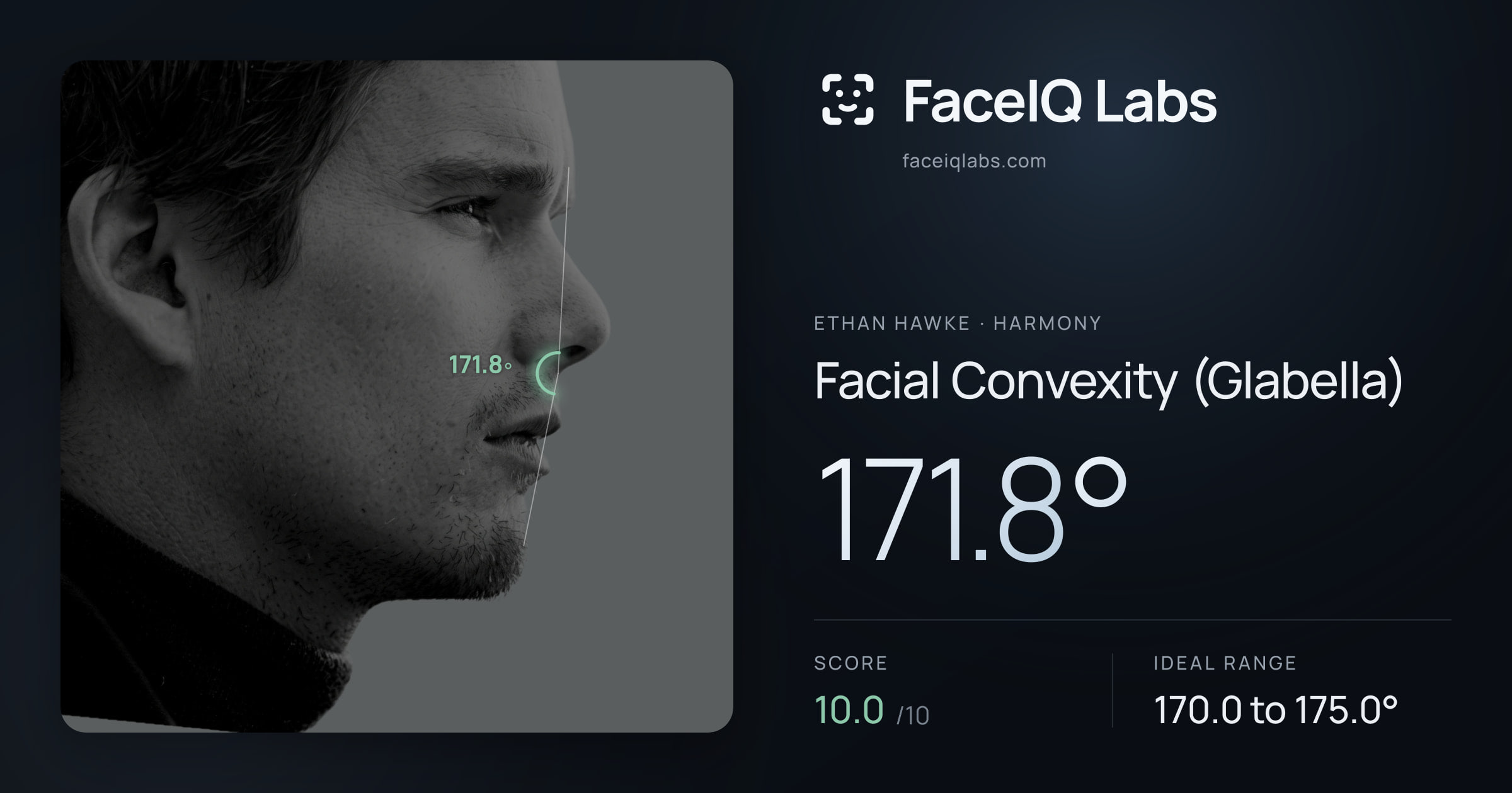 Ethan Hawke Facial Convexity (Glabella): 171.8°, drawn on the photo