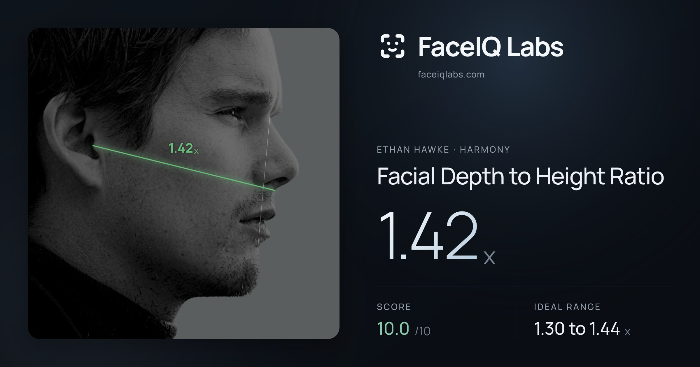 Ethan Hawke Facial Depth to Height Ratio: 1.42x, drawn on the photo