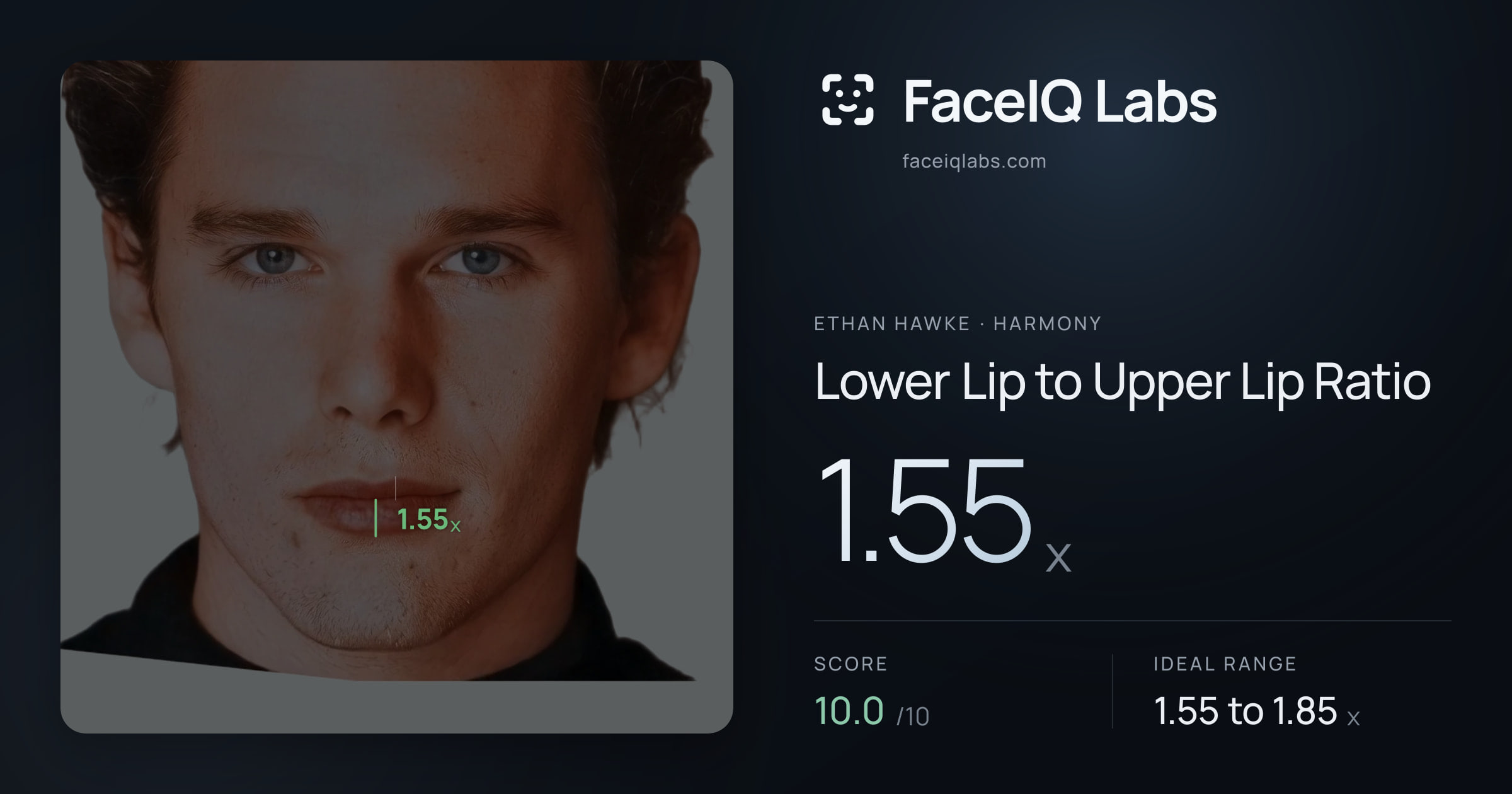 Ethan Hawke Lower Lip to Upper Lip Ratio: 1.55x, drawn on the photo