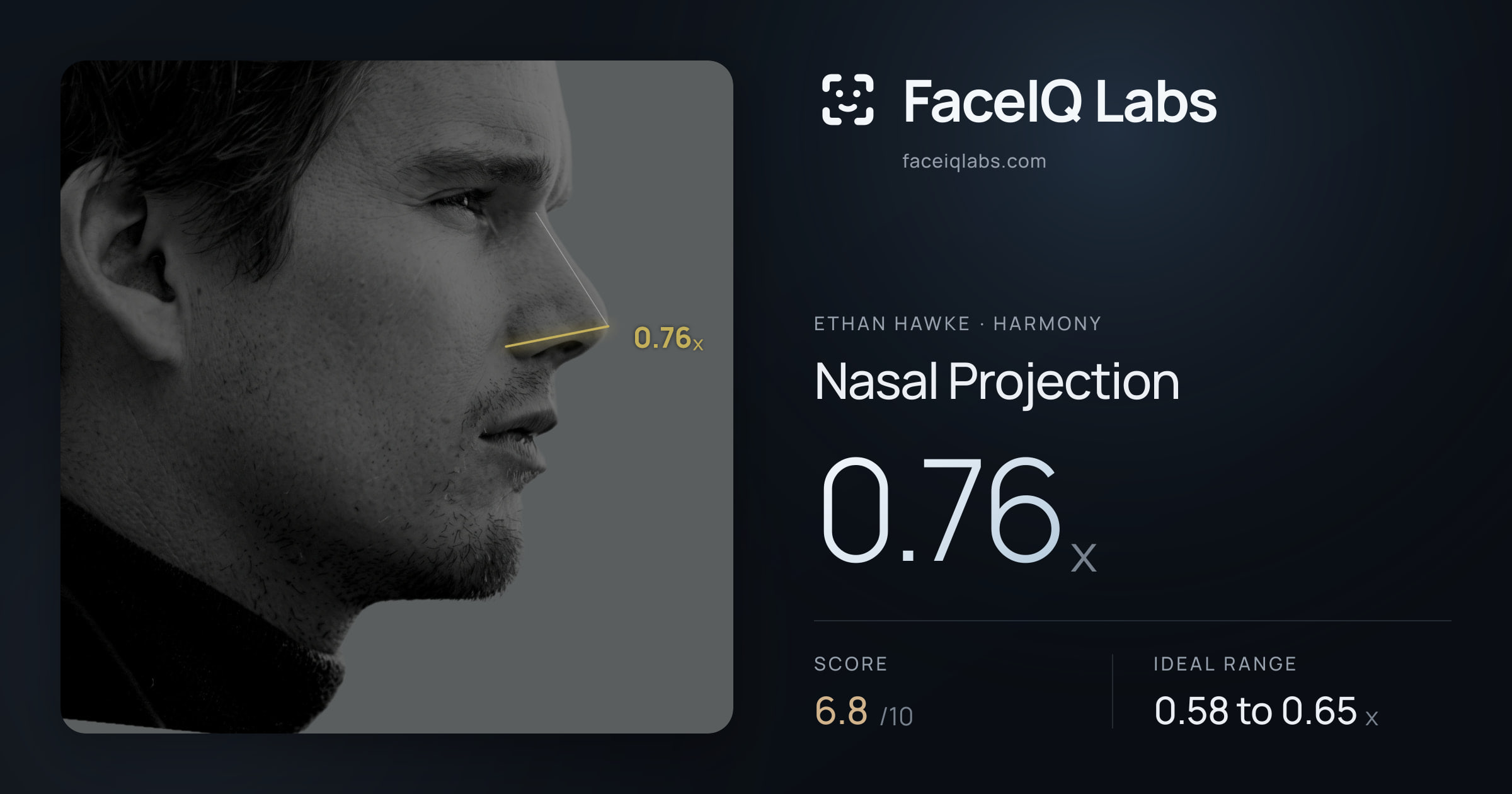 Ethan Hawke Nasal Projection: 0.76x, drawn on the photo