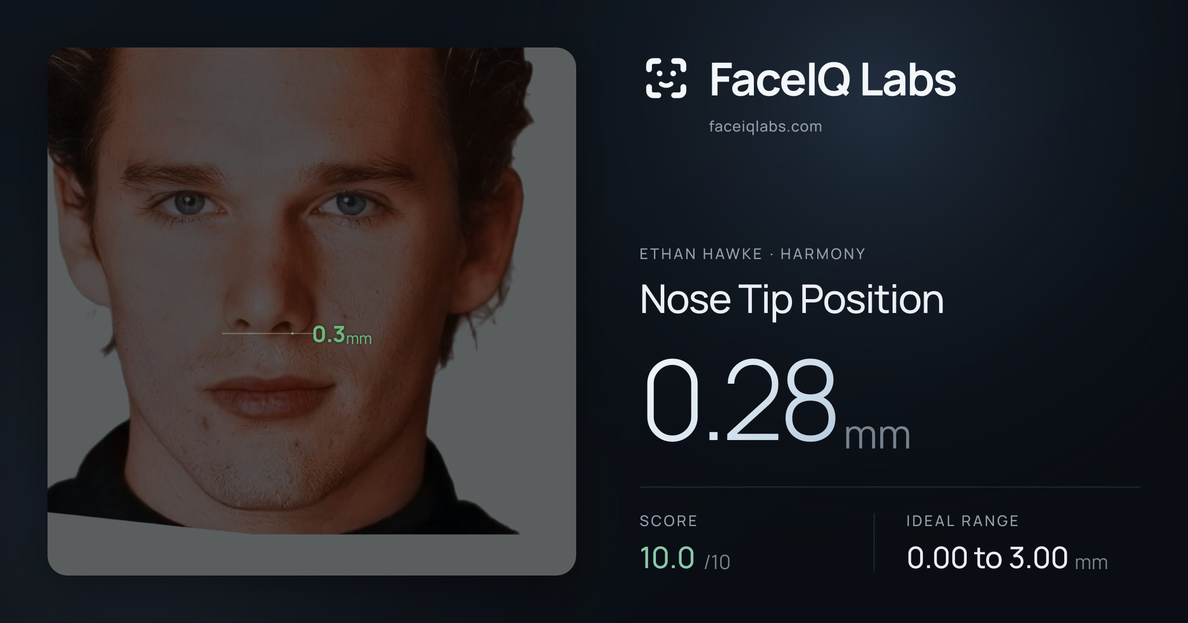 Ethan Hawke Nose Tip Position: 0.28mm, drawn on the photo