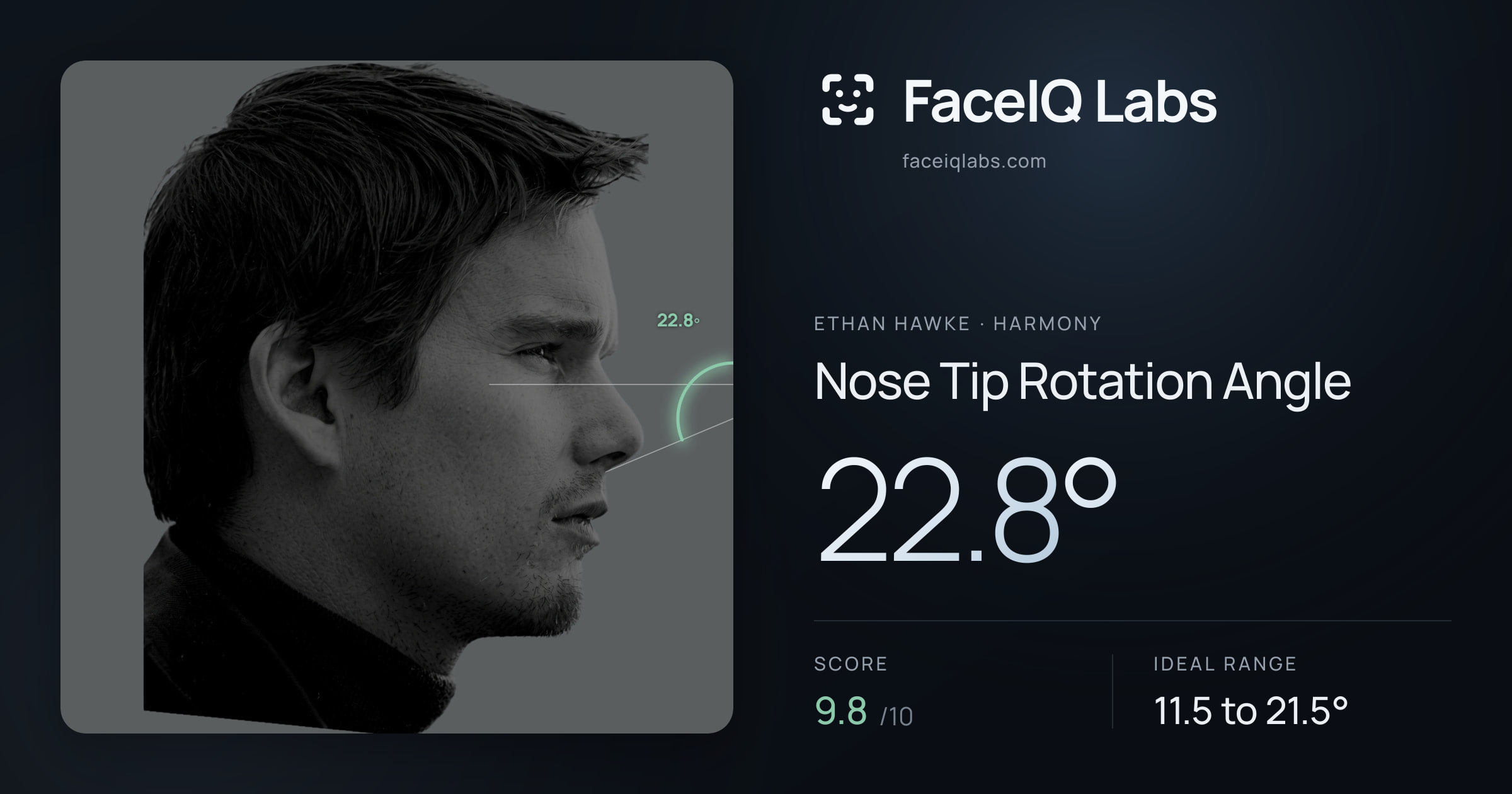 Ethan Hawke Nose Tip Rotation Angle: 22.8°, drawn on the photo