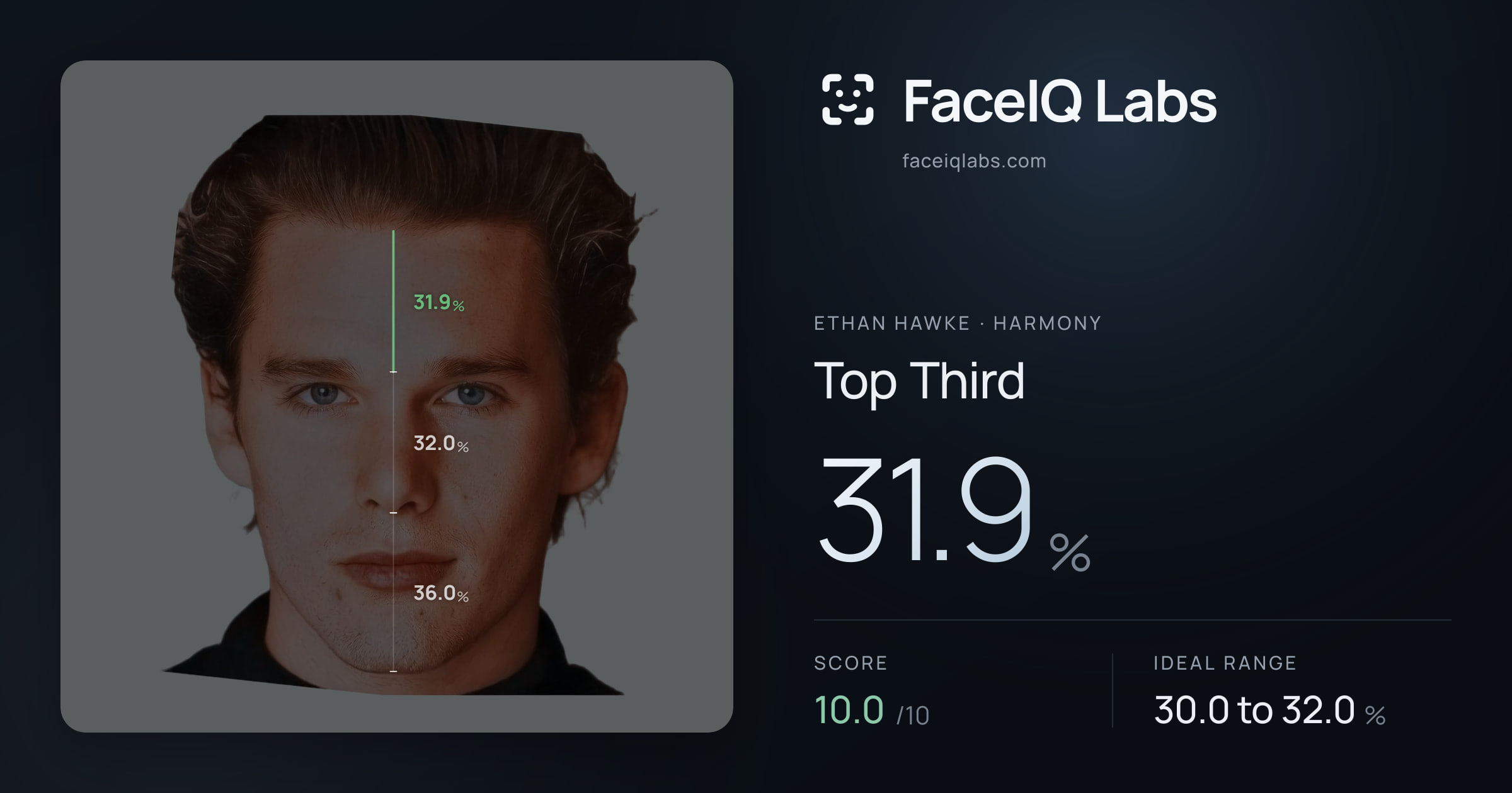 Ethan Hawke Top Third: 31.9%, drawn on the photo
