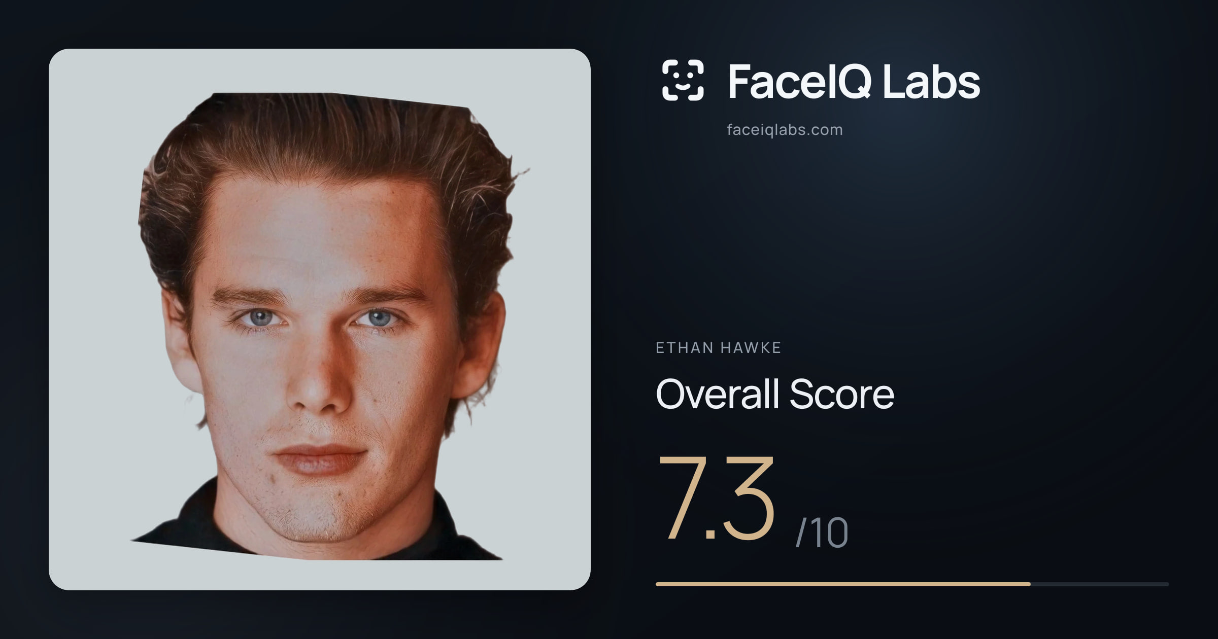 Ethan Hawke face rating: 7.3/10, with each section's score