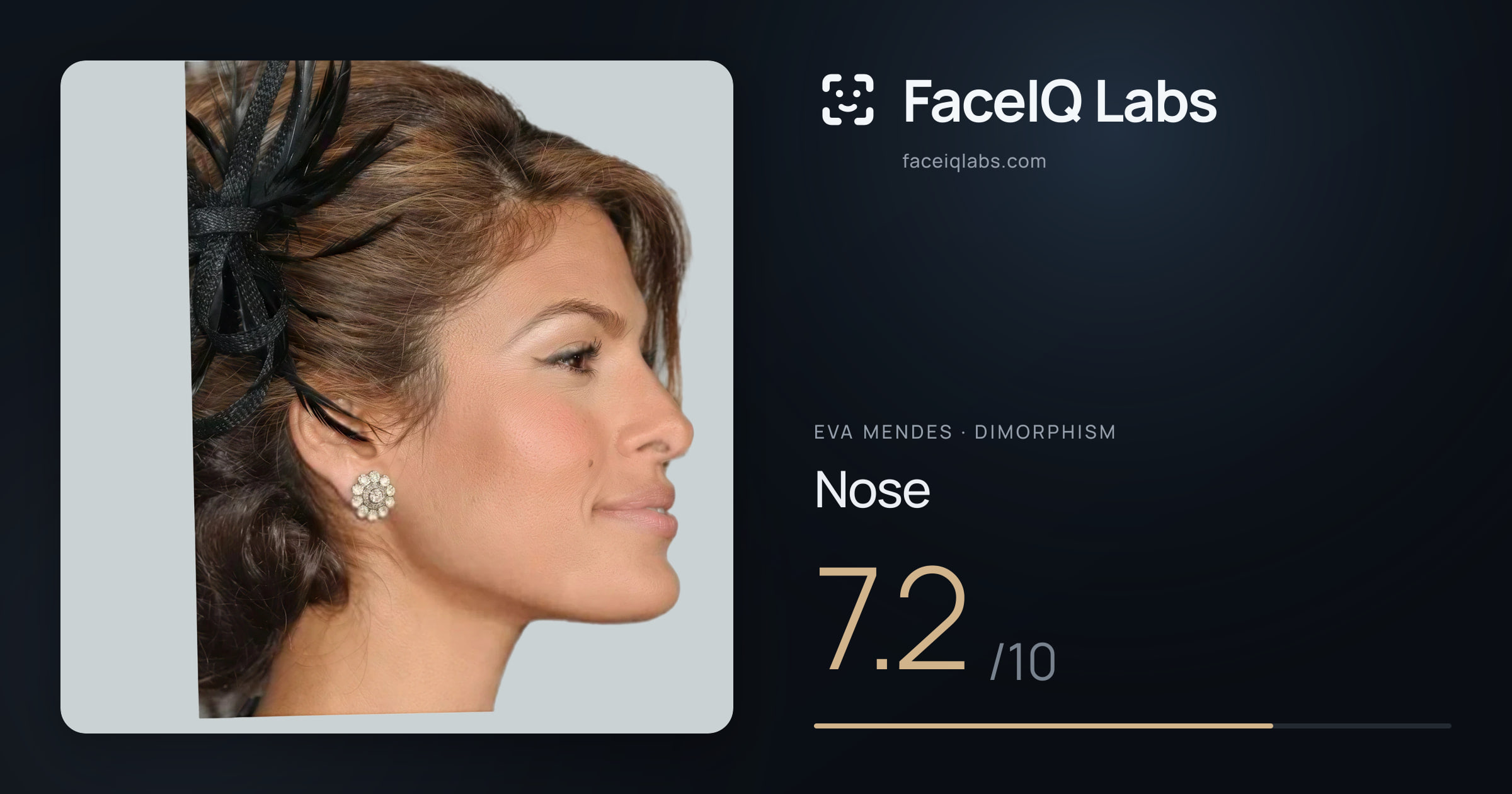 Eva Mendes Nose: 7.2/10, drawn on the photo