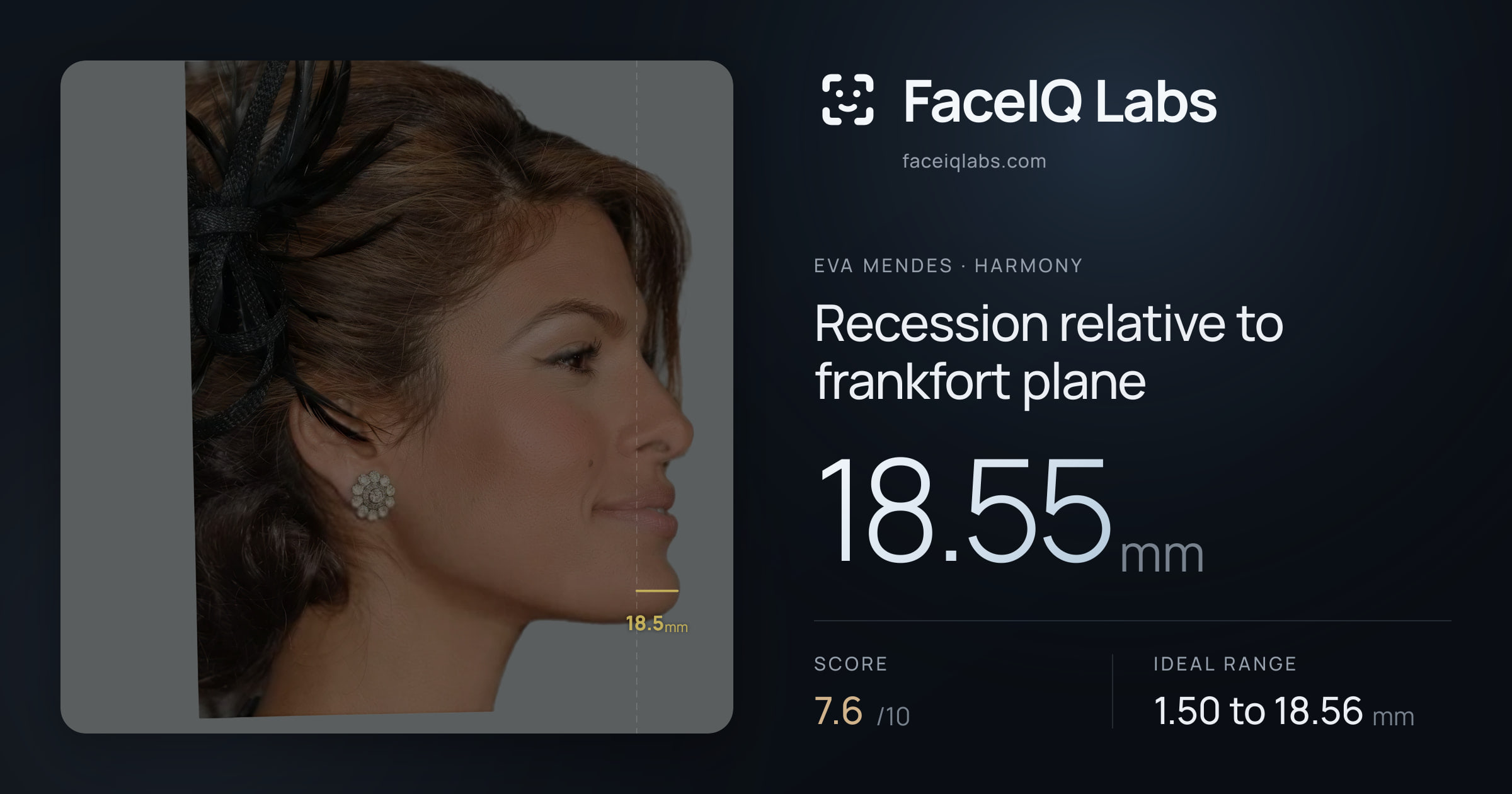 Eva Mendes Recession relative to frankfort plane: 18.55mm, drawn on the photo