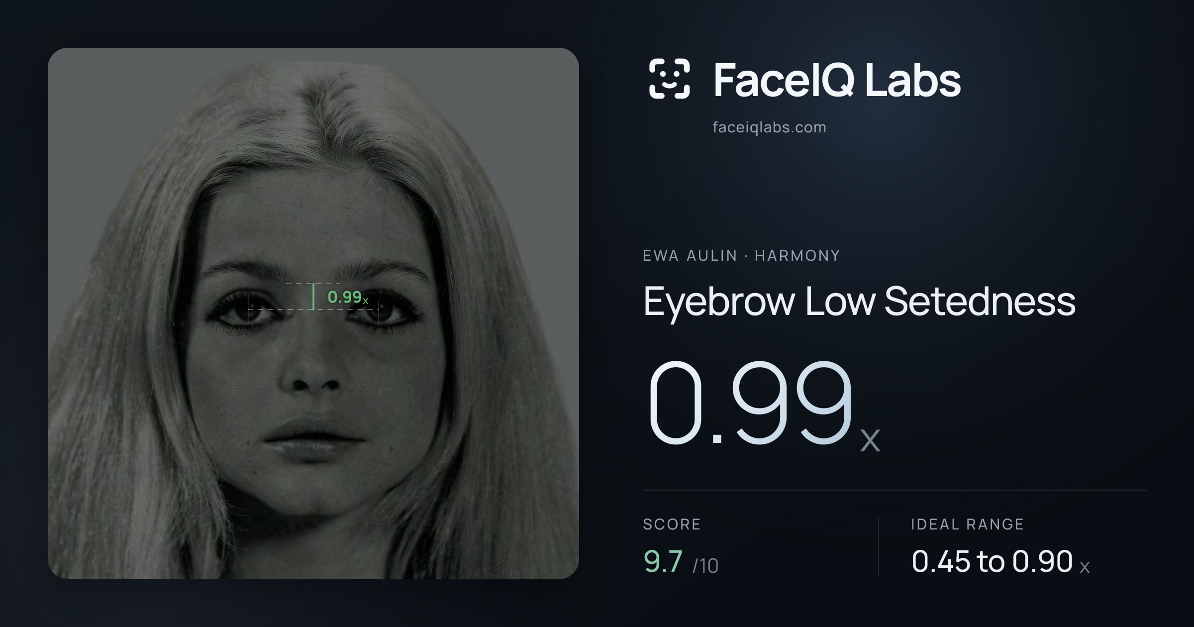 Ewa Aulin Eyebrow Low Setedness: 0.99x, drawn on the photo