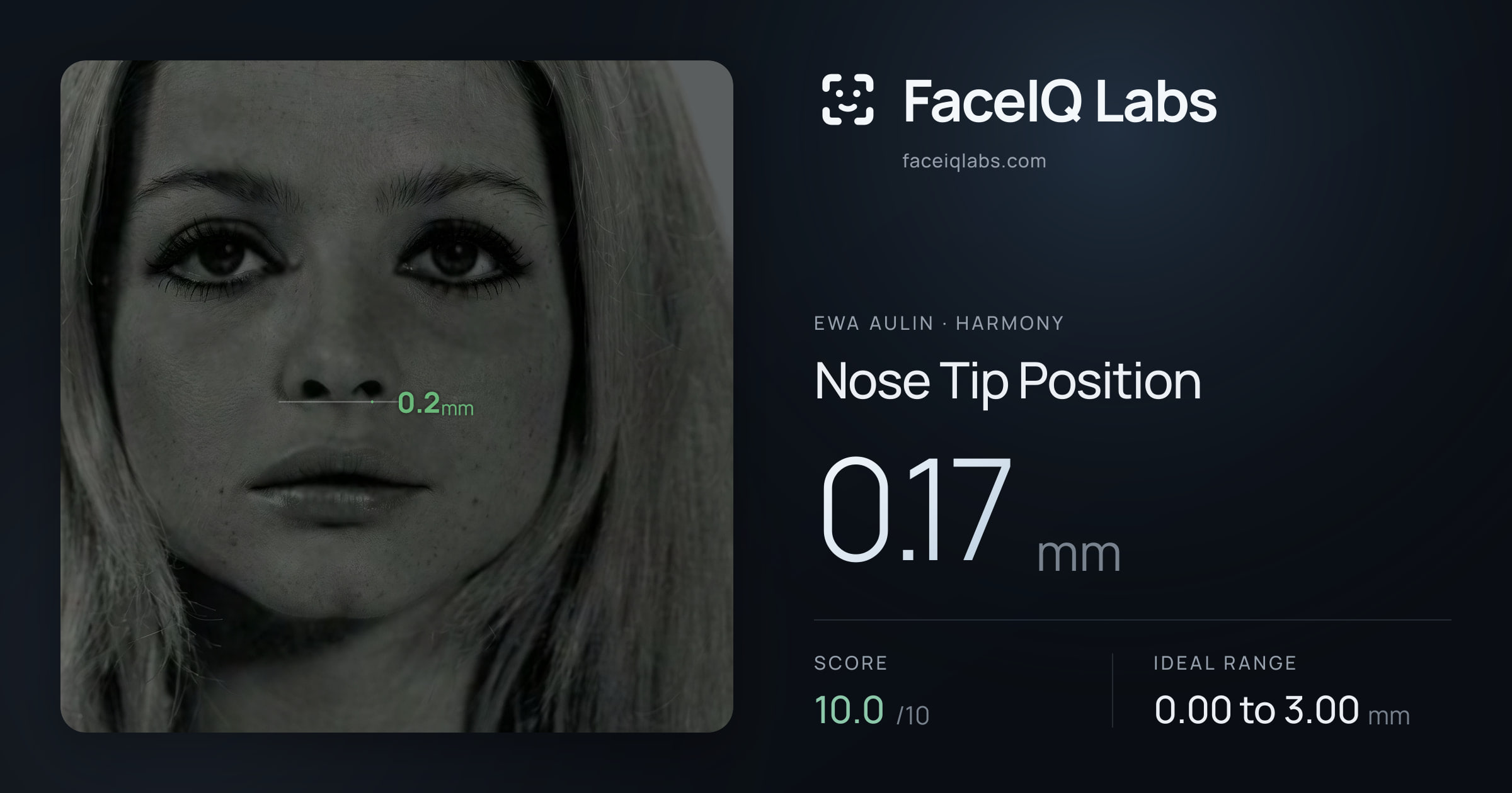 Ewa Aulin Nose Tip Position: 0.17mm, drawn on the photo