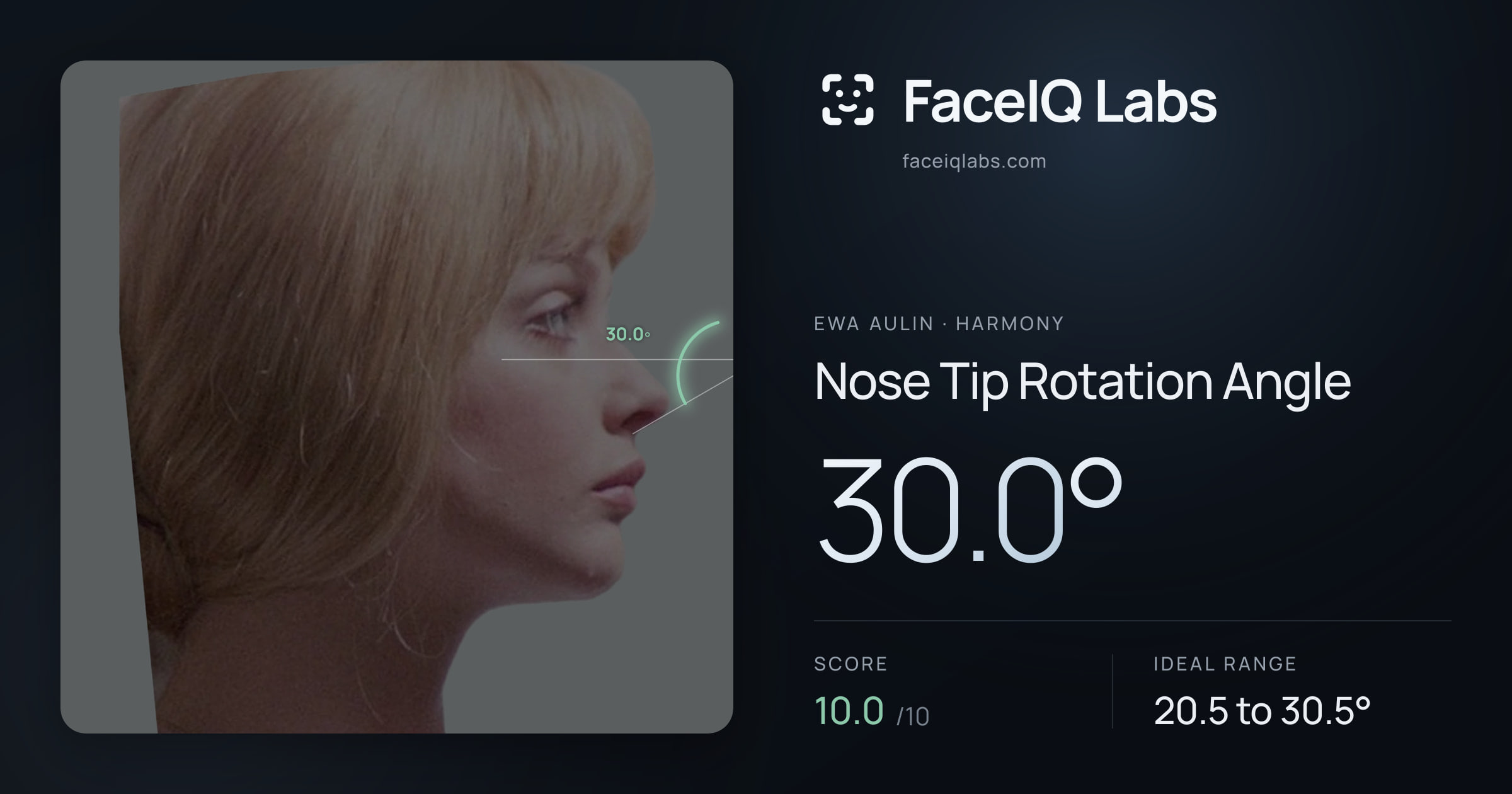 Ewa Aulin Nose Tip Rotation Angle: 30.0°, drawn on the photo