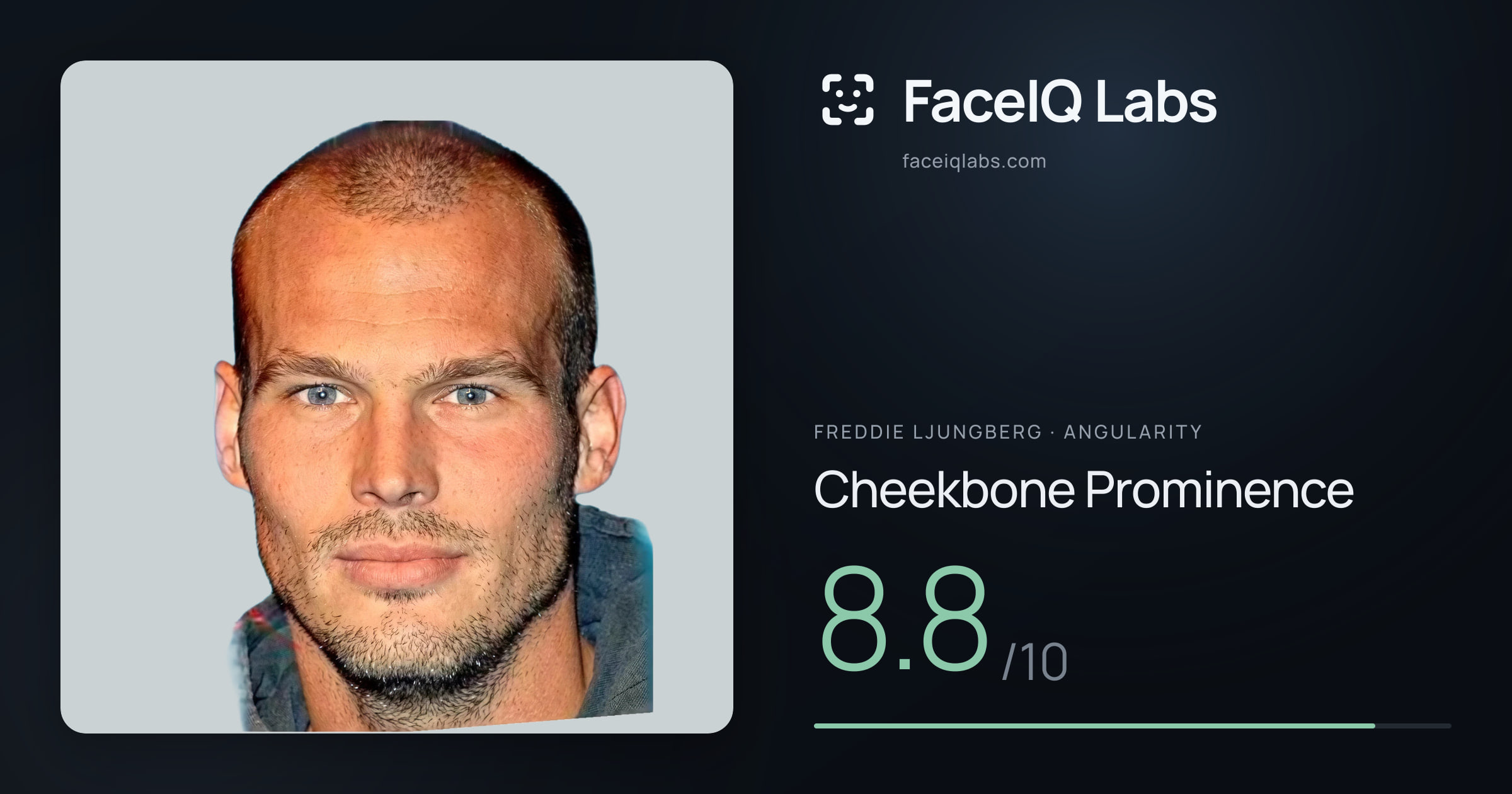 Freddie Ljungberg Cheekbone Prominence: 8.8/10, drawn on the photo