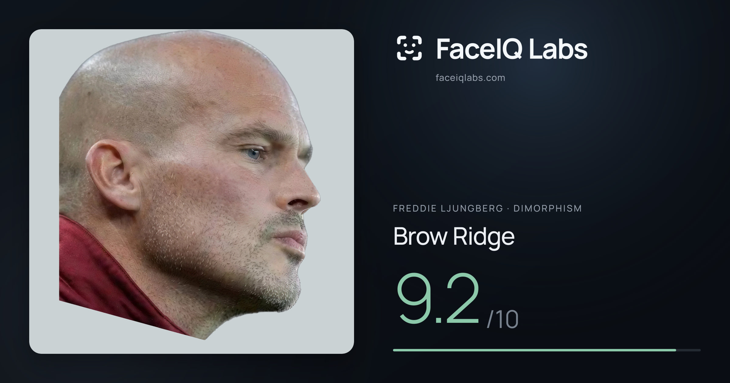 Freddie Ljungberg Brow Ridge: 9.2/10, drawn on the photo