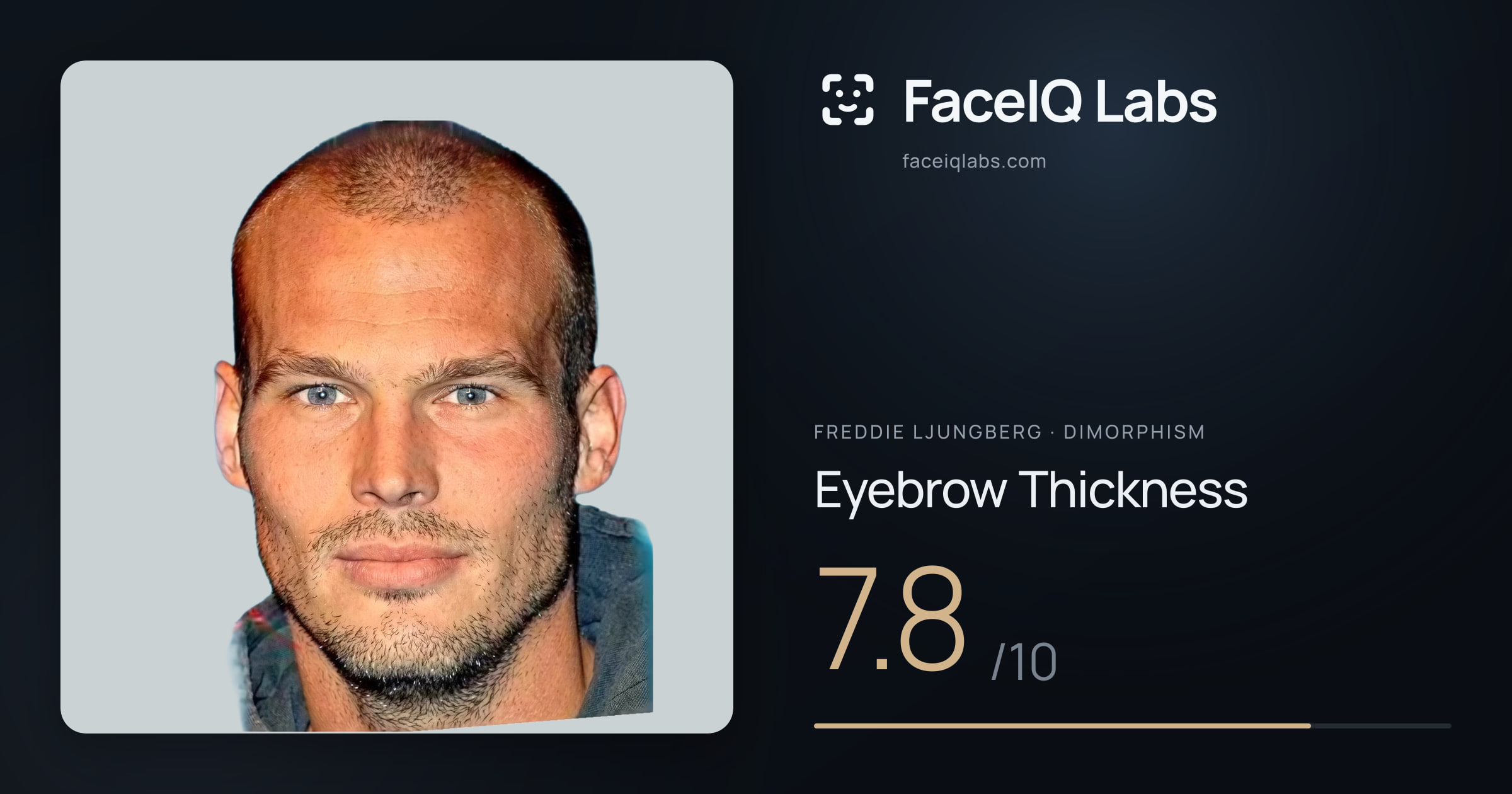 Freddie Ljungberg Eyebrow Thickness: 7.8/10, drawn on the photo