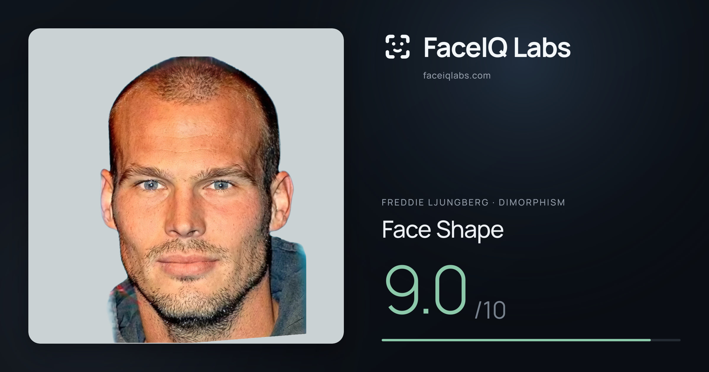 Freddie Ljungberg Face Shape: 9.0/10, drawn on the photo