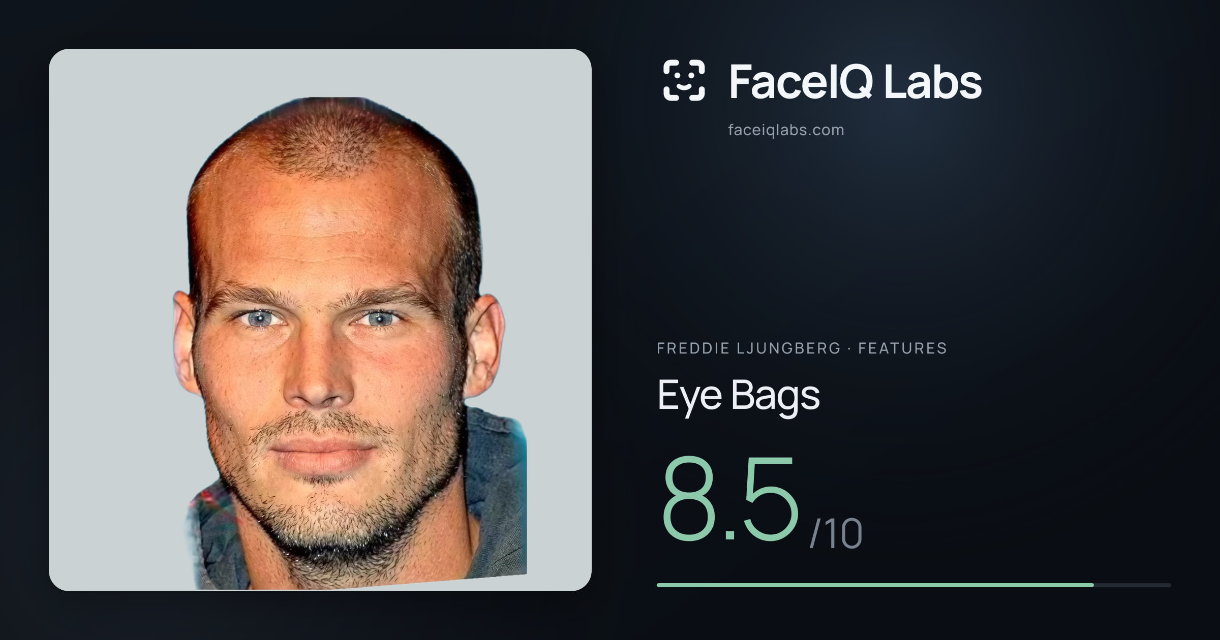Freddie Ljungberg Eye Bags: 8.5/10, drawn on the photo