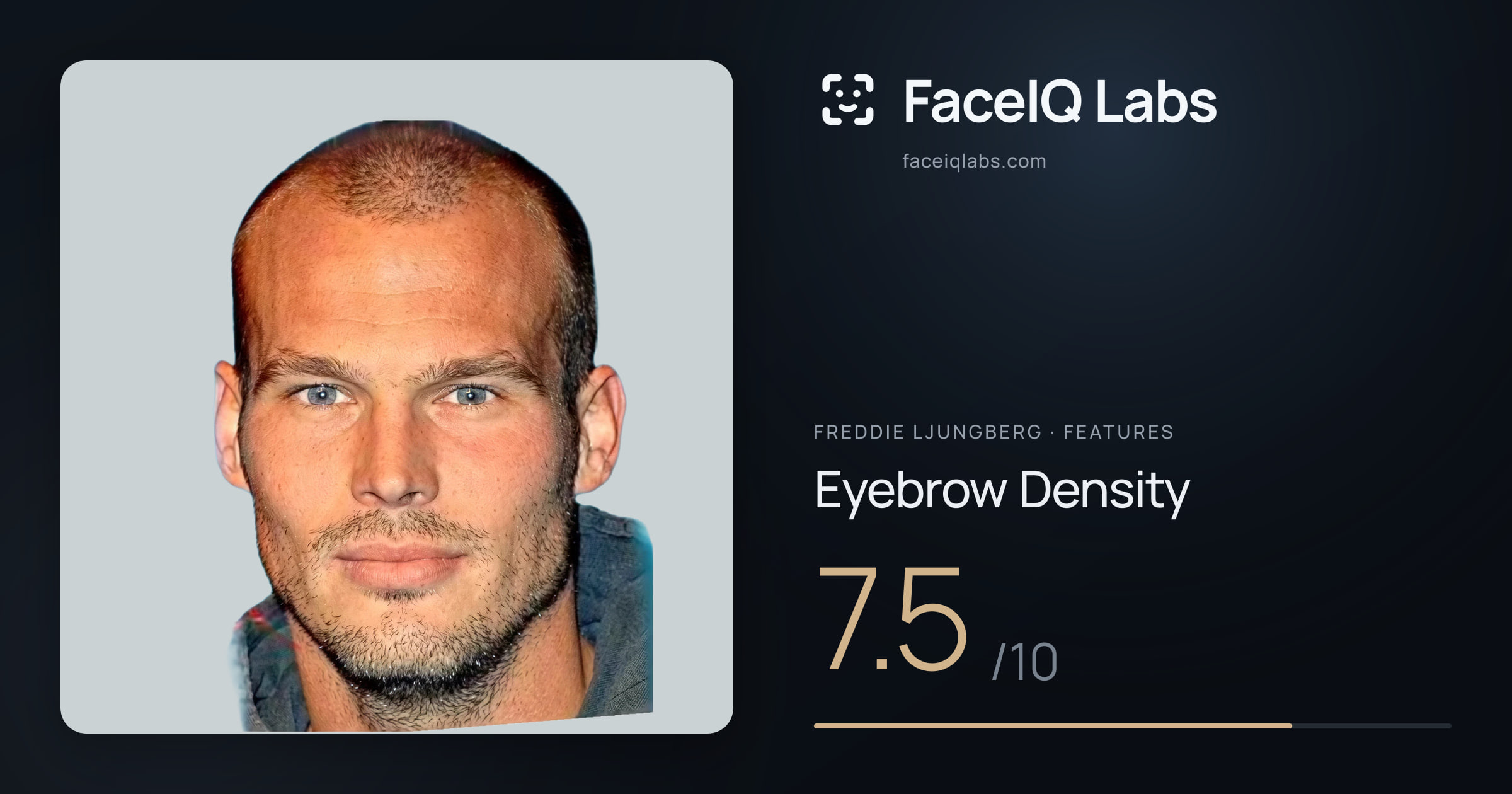 Freddie Ljungberg Eyebrow Density: 7.5/10, drawn on the photo