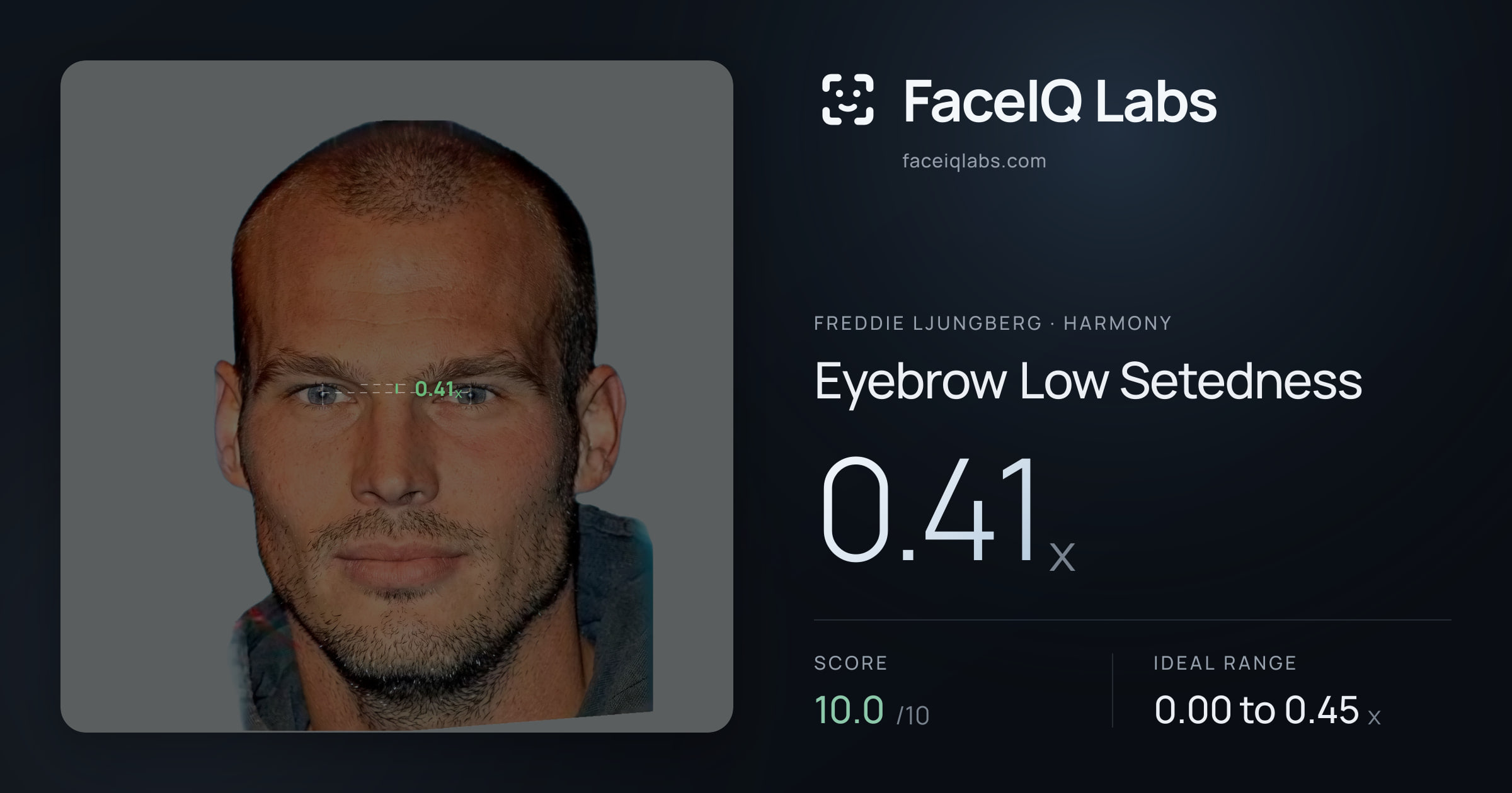 Freddie Ljungberg Eyebrow Low Setedness: 0.41x, drawn on the photo