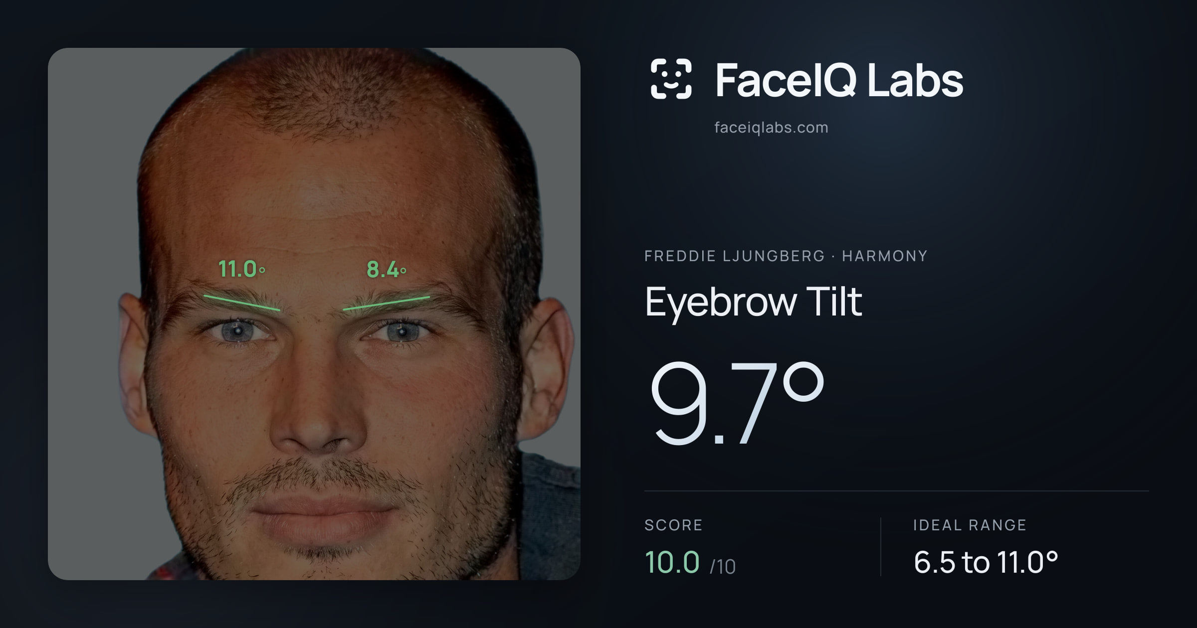 Freddie Ljungberg Eyebrow Tilt: 9.7°, drawn on the photo