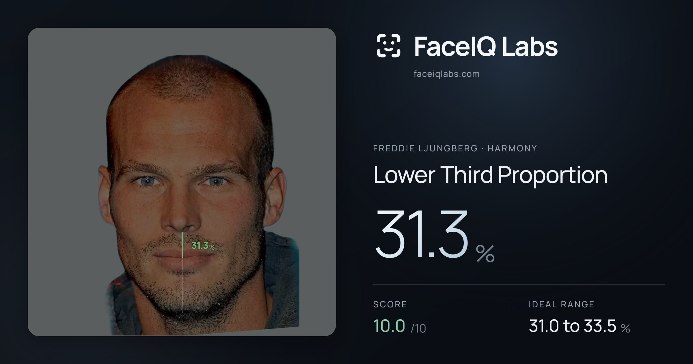 Freddie Ljungberg Lower Third Proportion: 31.3%, drawn on the photo