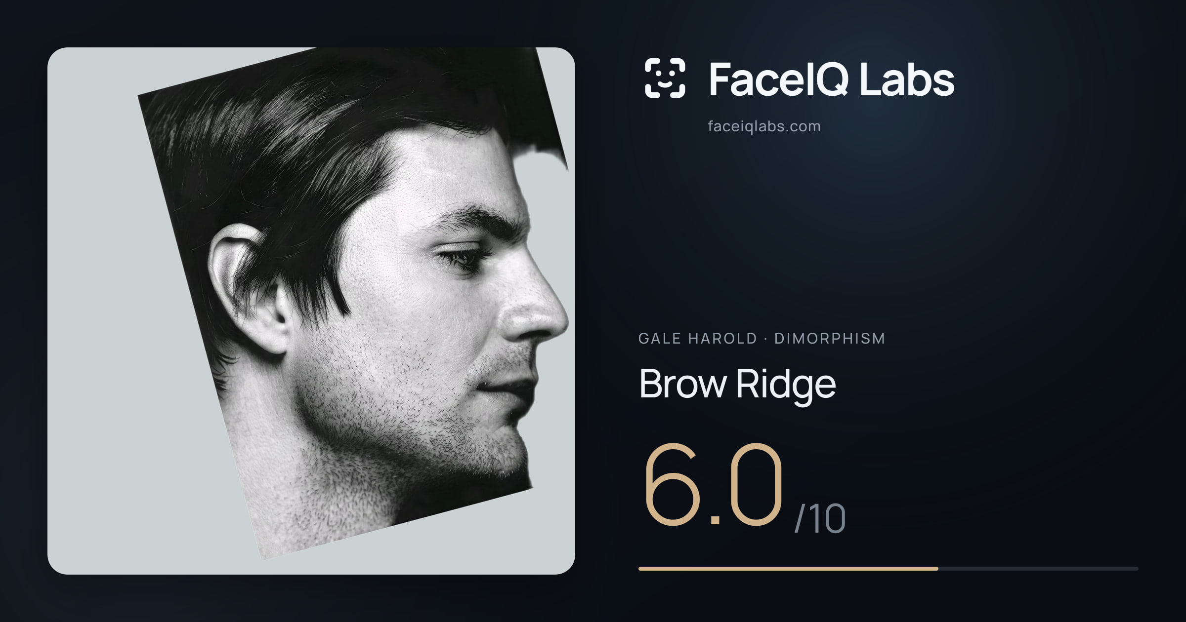 Gale Harold Brow Ridge: 6.0/10, drawn on the photo