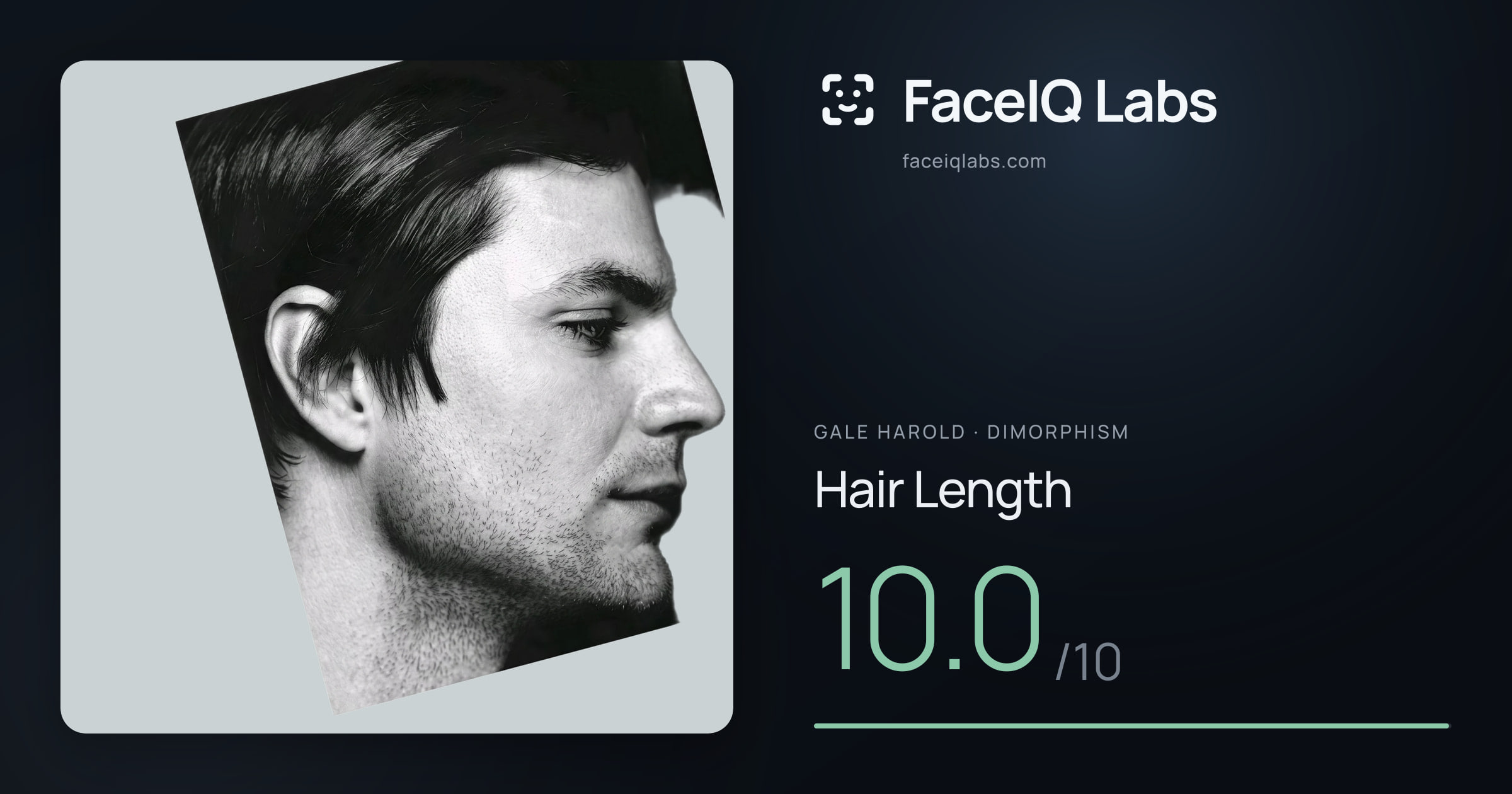 Gale Harold Hair Length: 10.0/10, drawn on the photo