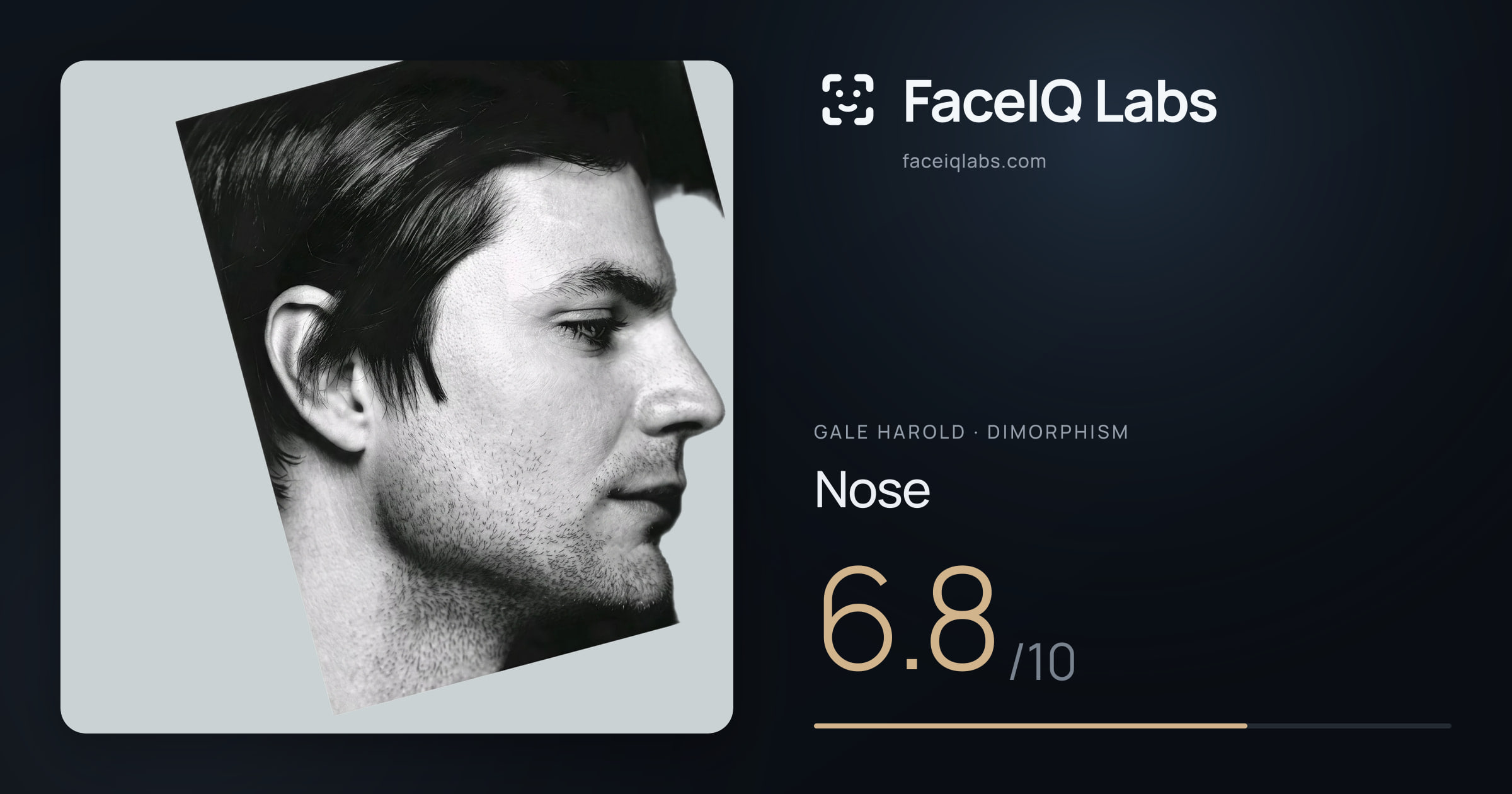 Gale Harold Nose: 6.8/10, drawn on the photo