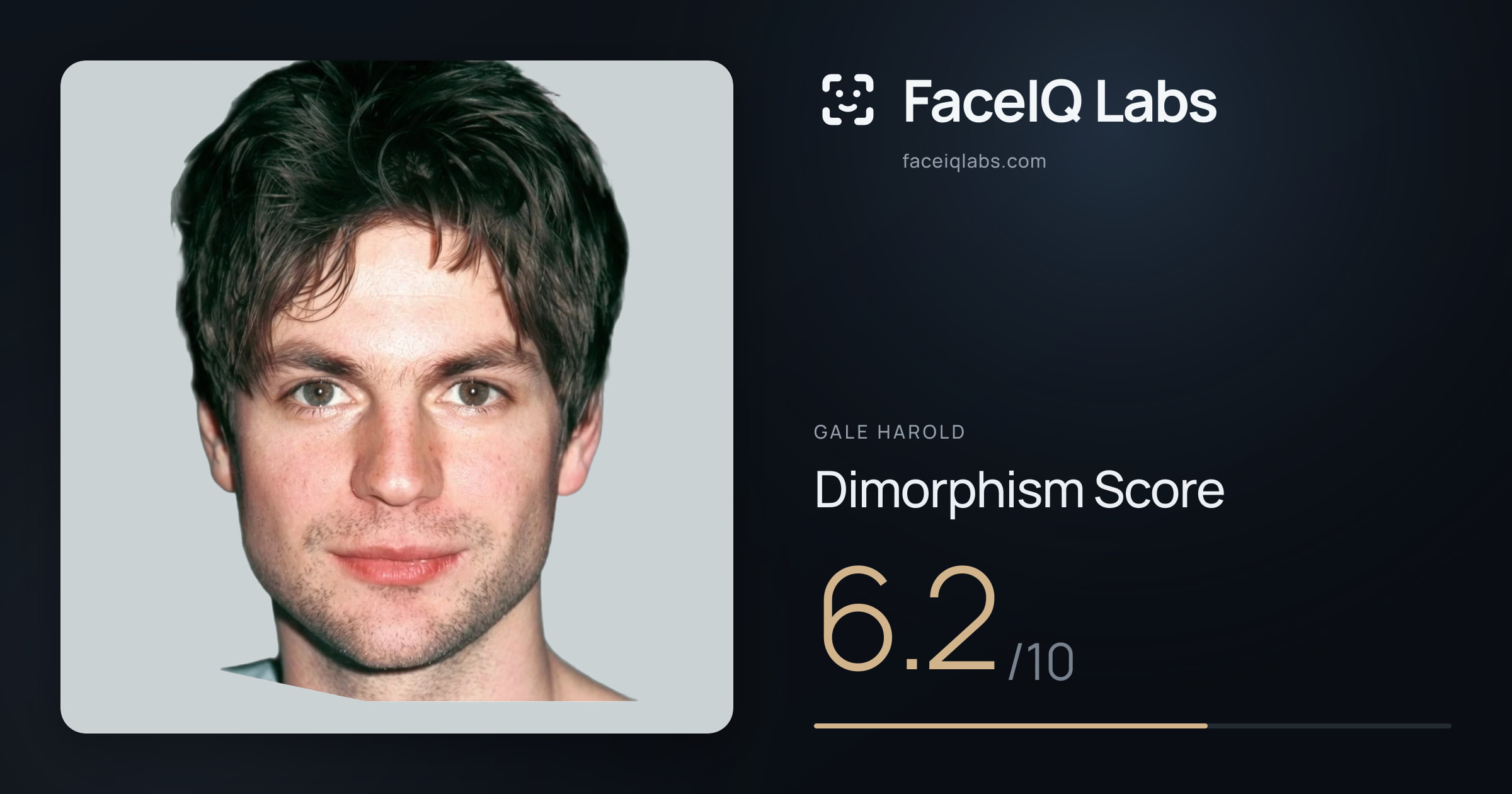 Gale Harold Dimorphism: 6.2/10, with each assessment drawn on the photo