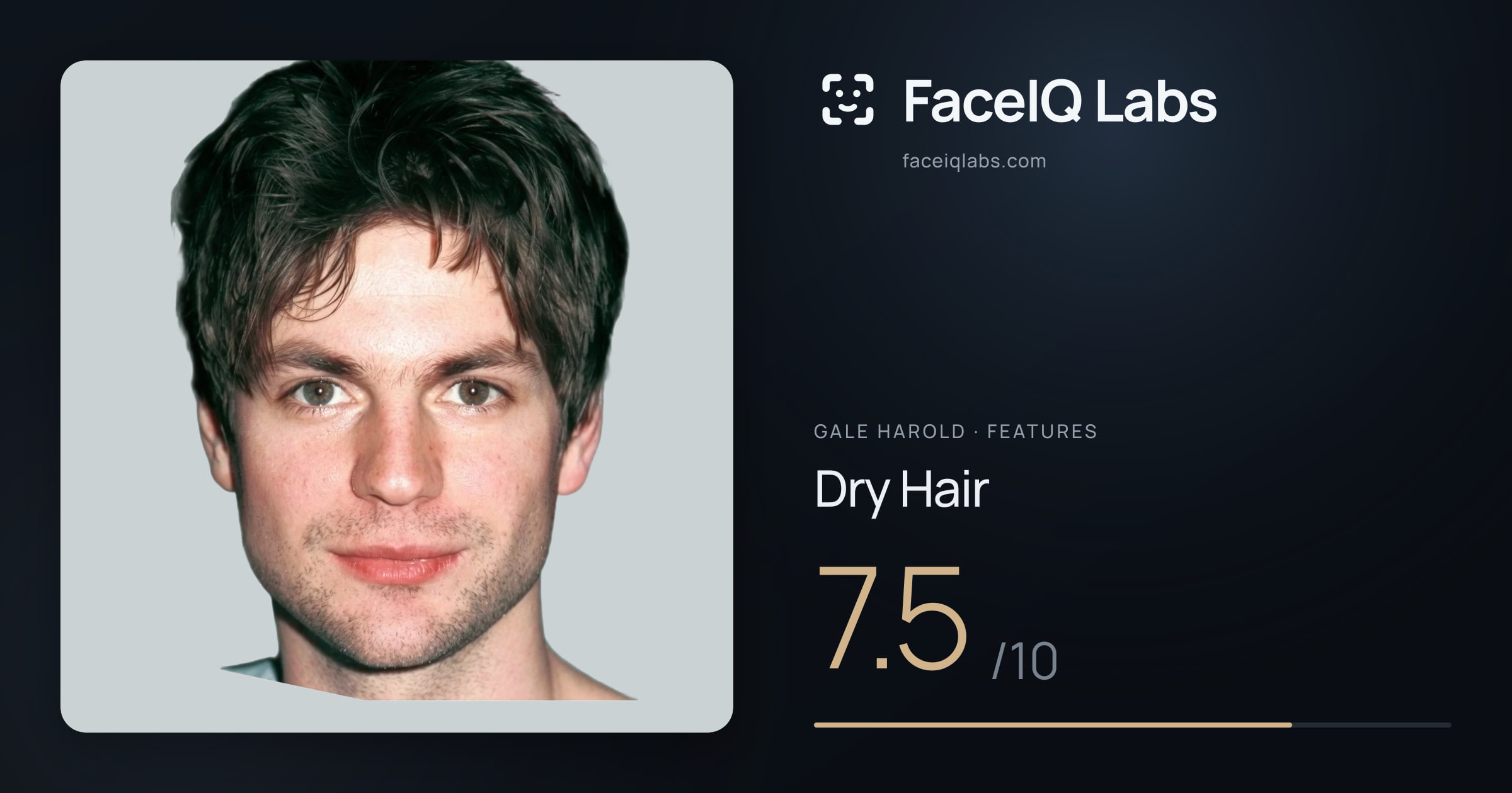 Gale Harold Dry Hair: 7.5/10, drawn on the photo