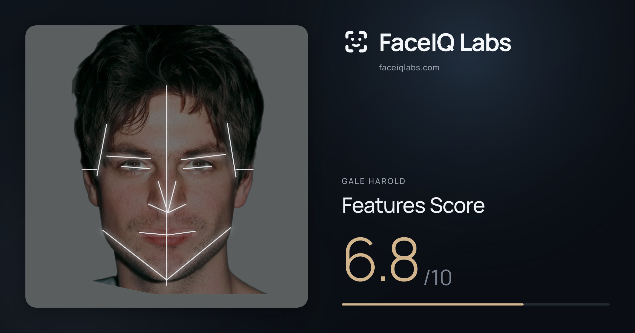 Gale Harold Features: 6.8/10, with each assessment drawn on the photo