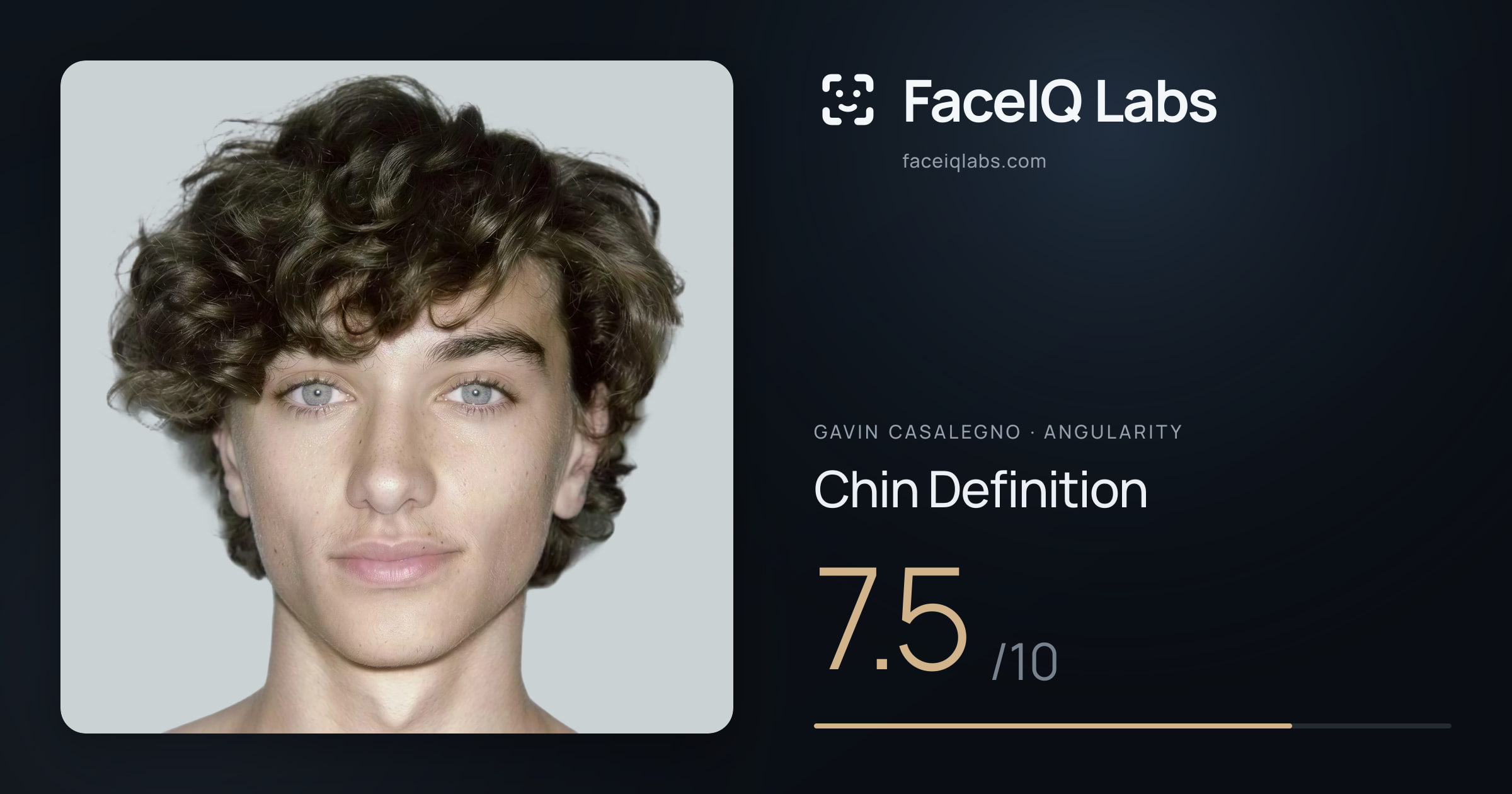Gavin Casalegno Chin Definition: 7.5/10, drawn on the photo