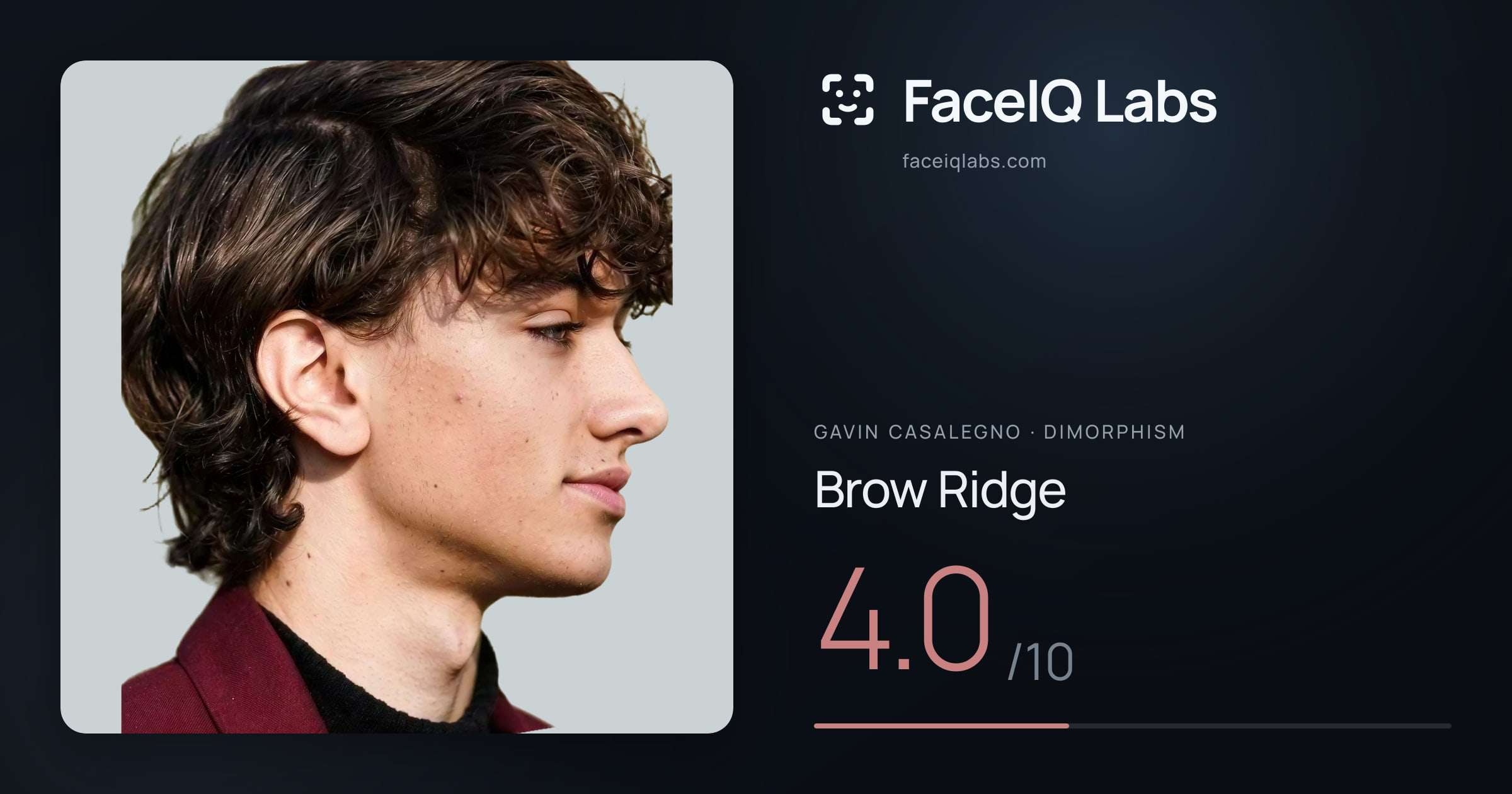 Gavin Casalegno Brow Ridge: 4.0/10, drawn on the photo
