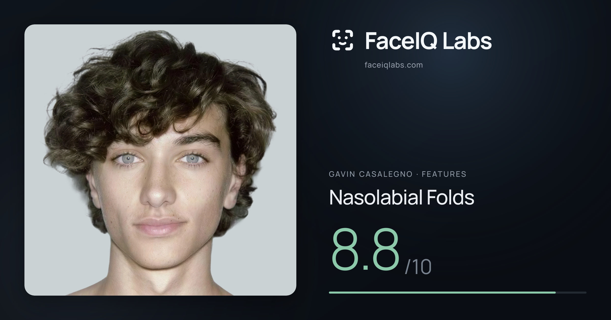 Gavin Casalegno Nasolabial Folds: 8.8/10, drawn on the photo