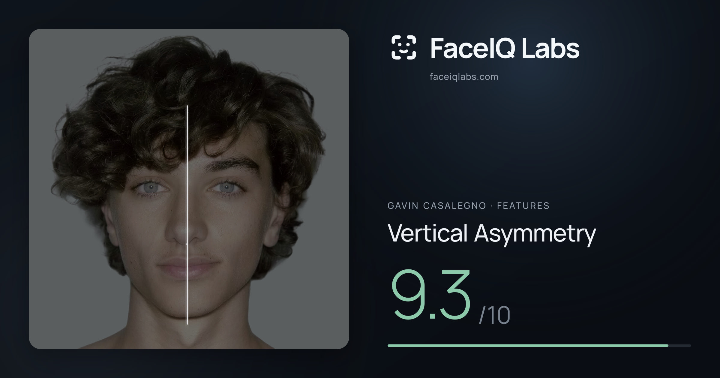 Gavin Casalegno Vertical Asymmetry: 9.3/10, drawn on the photo