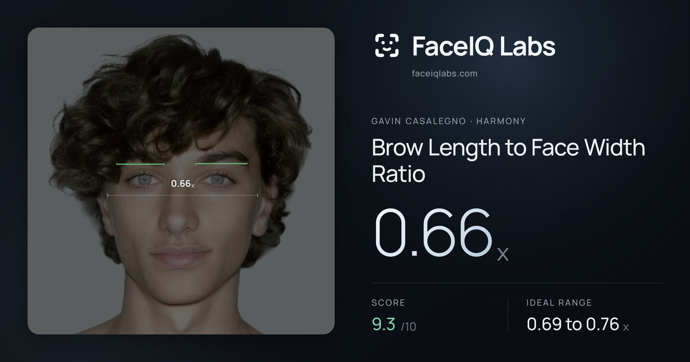 Gavin Casalegno Brow Length to Face Width Ratio: 0.66x, drawn on the photo