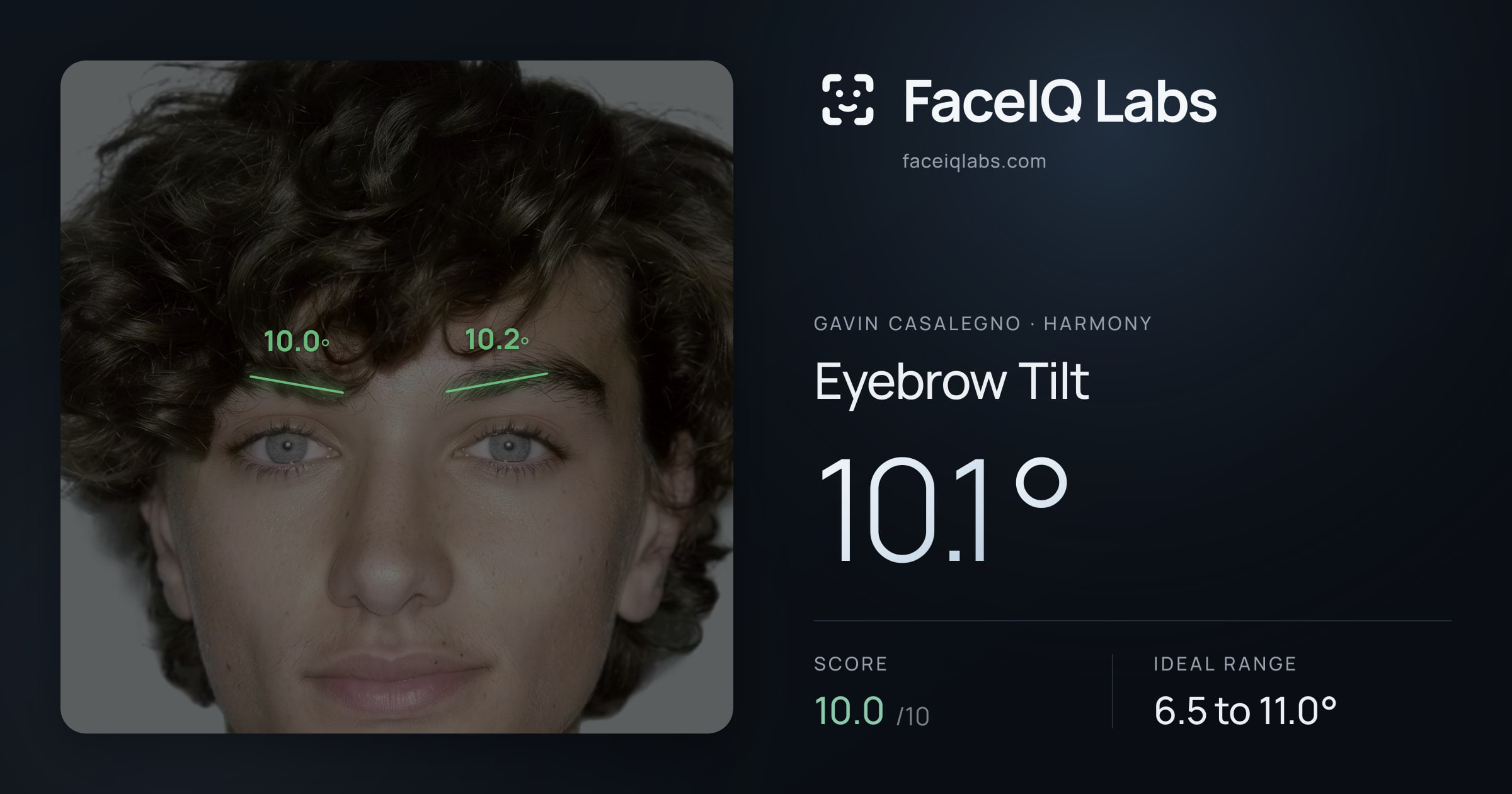 Gavin Casalegno Eyebrow Tilt: 10.1°, drawn on the photo