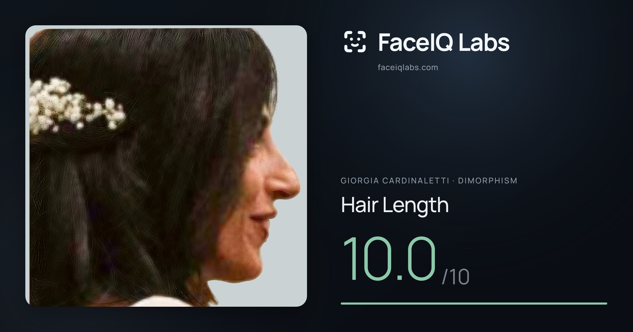 Giorgia Cardinaletti Hair Length: 10.0/10, drawn on the photo