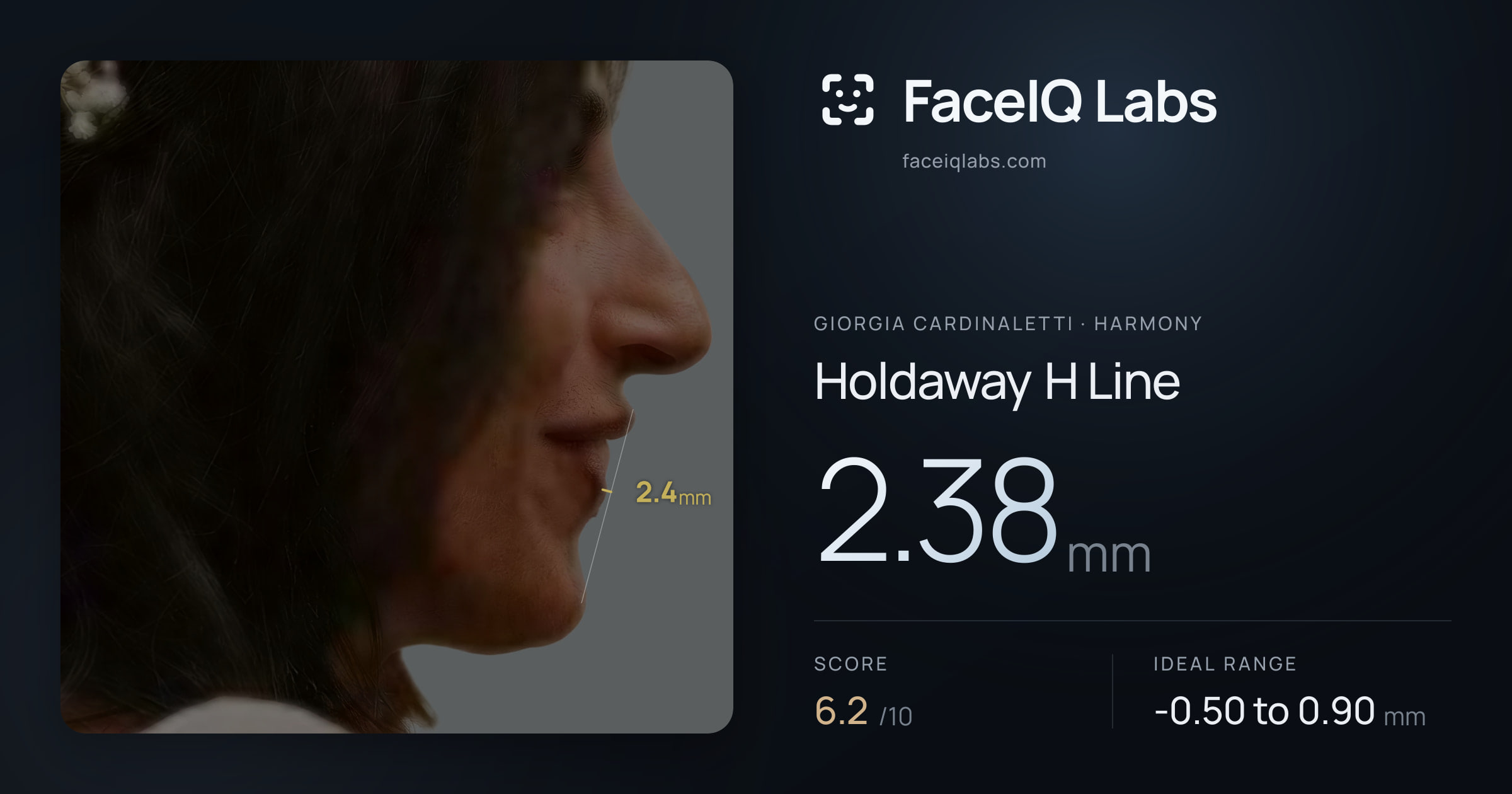 Giorgia Cardinaletti Holdaway H Line: 2.38mm, drawn on the photo