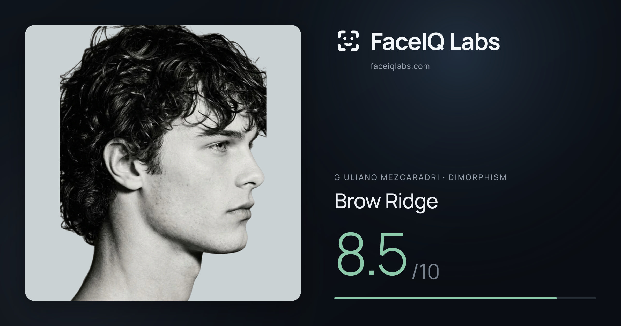 Giuliano Mezcaradri Brow Ridge: 8.5/10, drawn on the photo