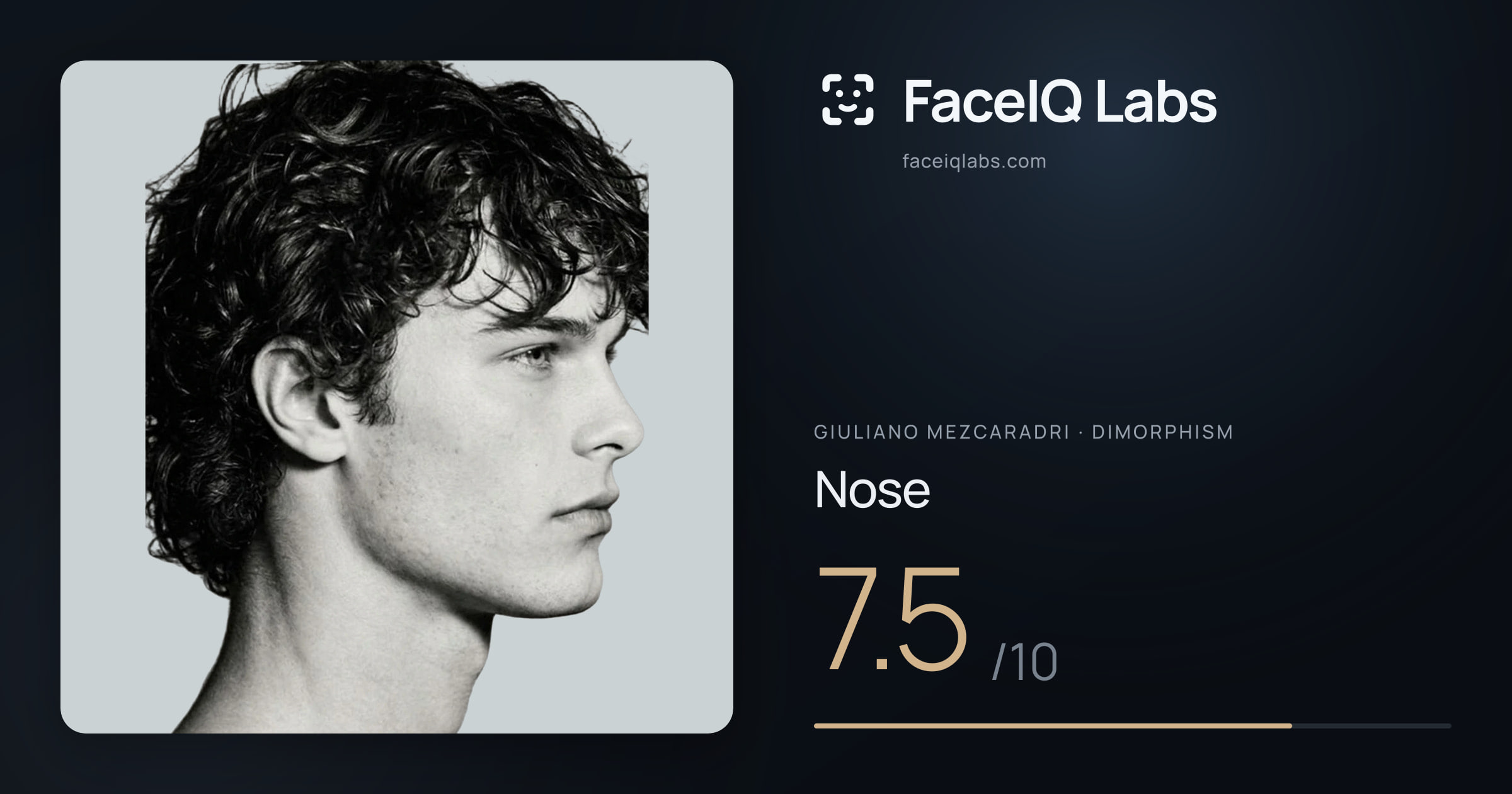 Giuliano Mezcaradri Nose: 7.5/10, drawn on the photo