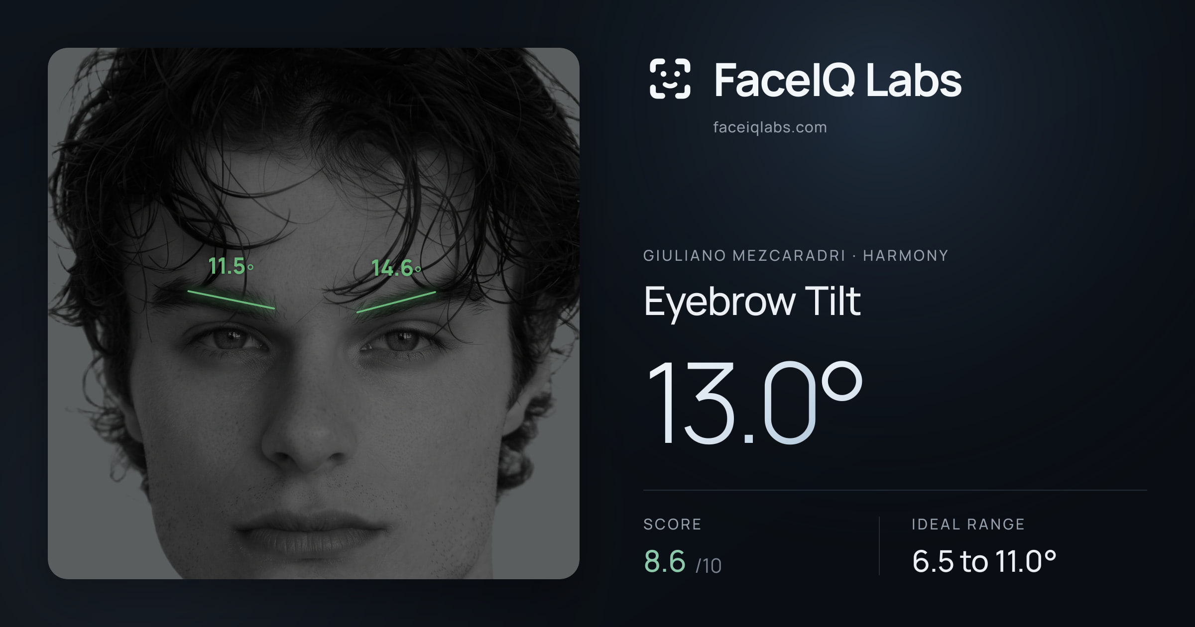 Giuliano Mezcaradri Eyebrow Tilt: 12.9°, drawn on the photo