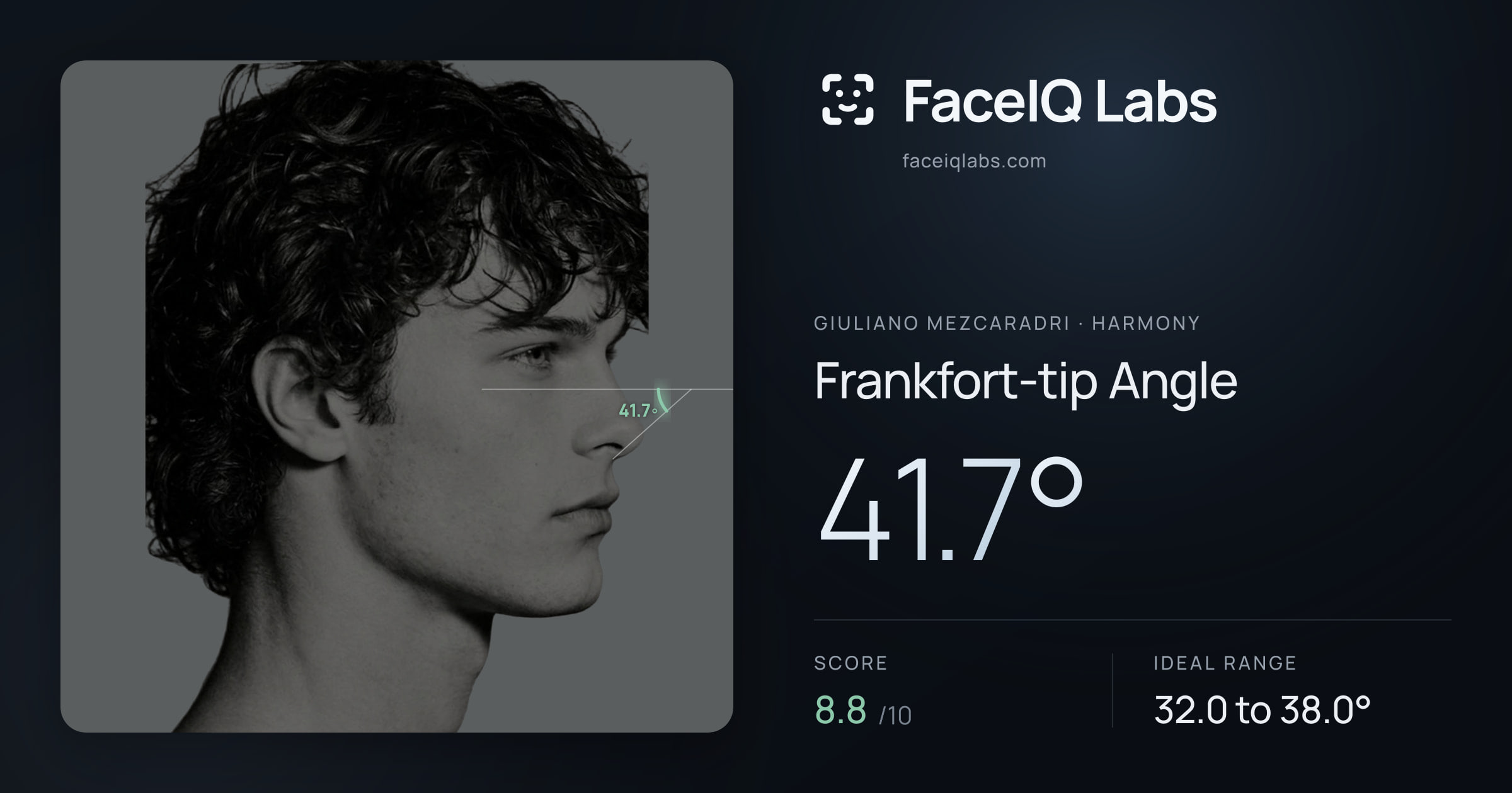 Giuliano Mezcaradri Frankfort-tip Angle: 41.7°, drawn on the photo