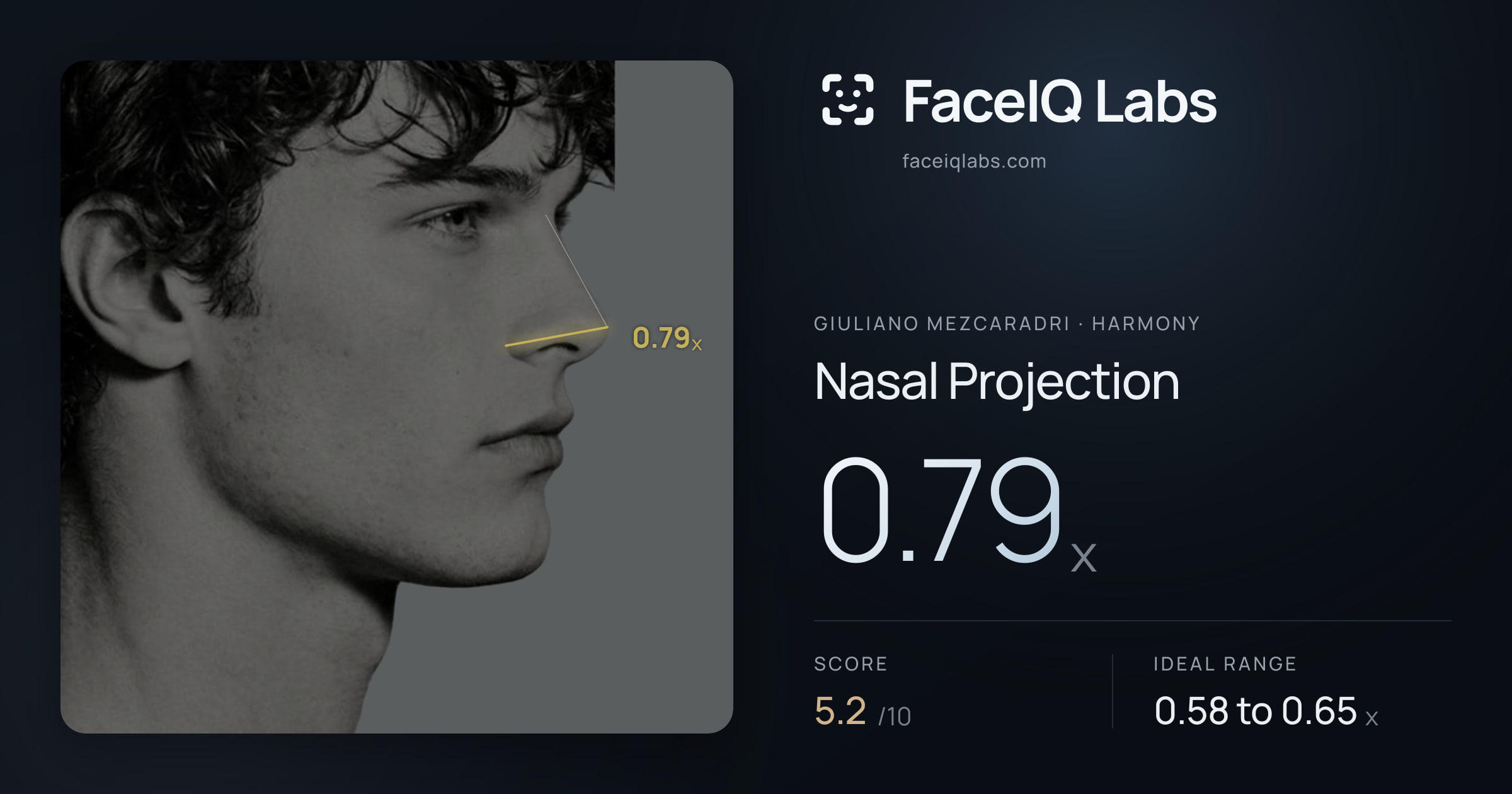 Giuliano Mezcaradri Nasal Projection: 0.79x, drawn on the photo