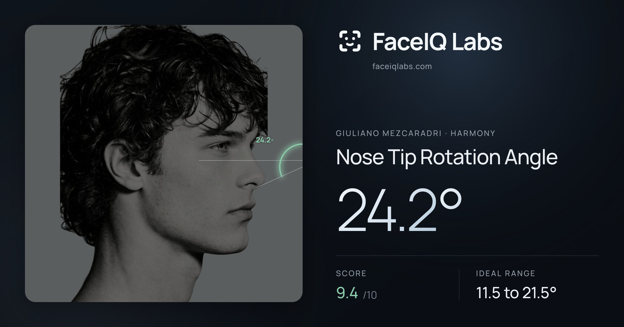 Giuliano Mezcaradri Nose Tip Rotation Angle: 24.2°, drawn on the photo