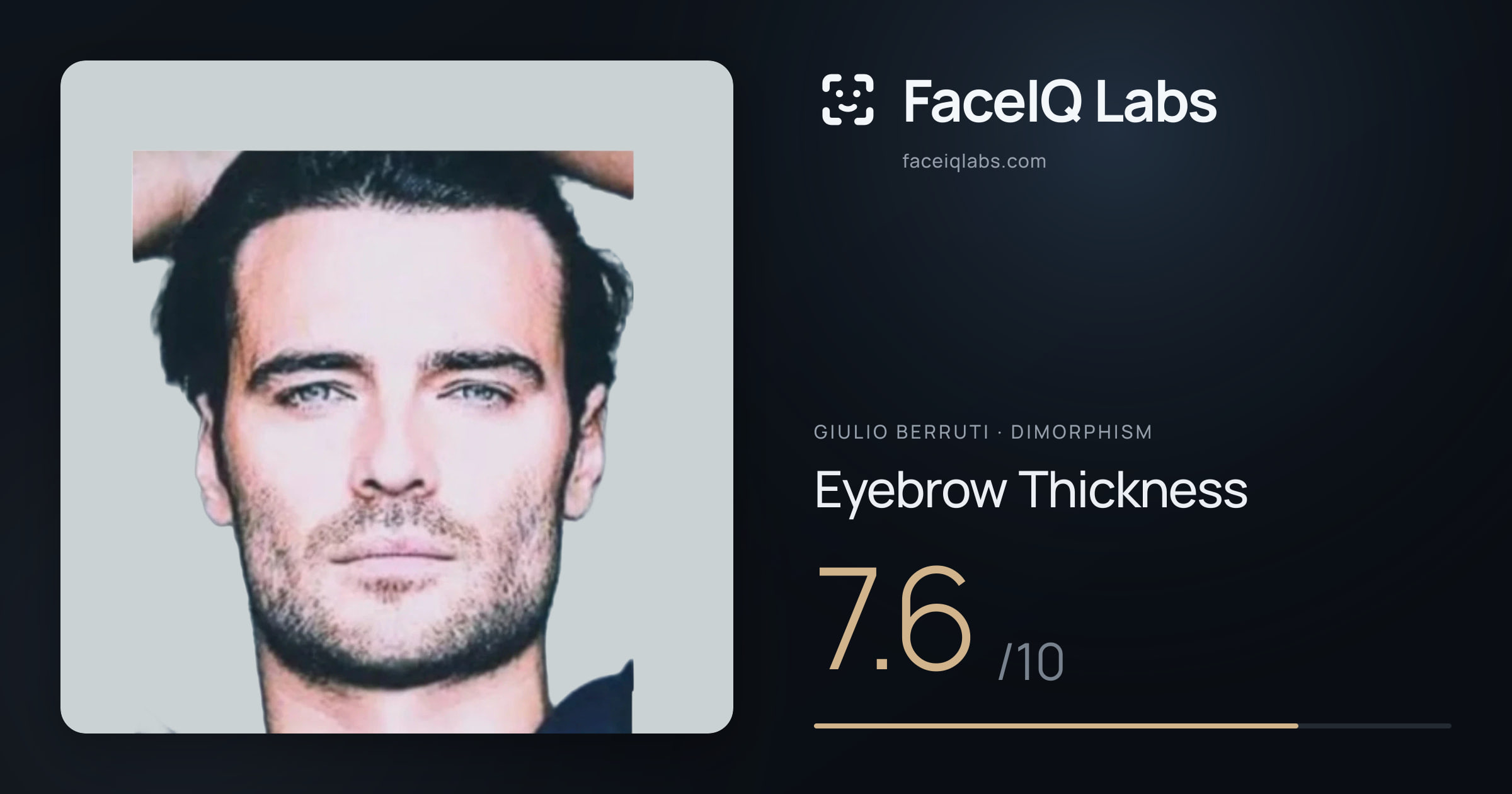Giulio Berruti Eyebrow Thickness: 7.6/10, drawn on the photo