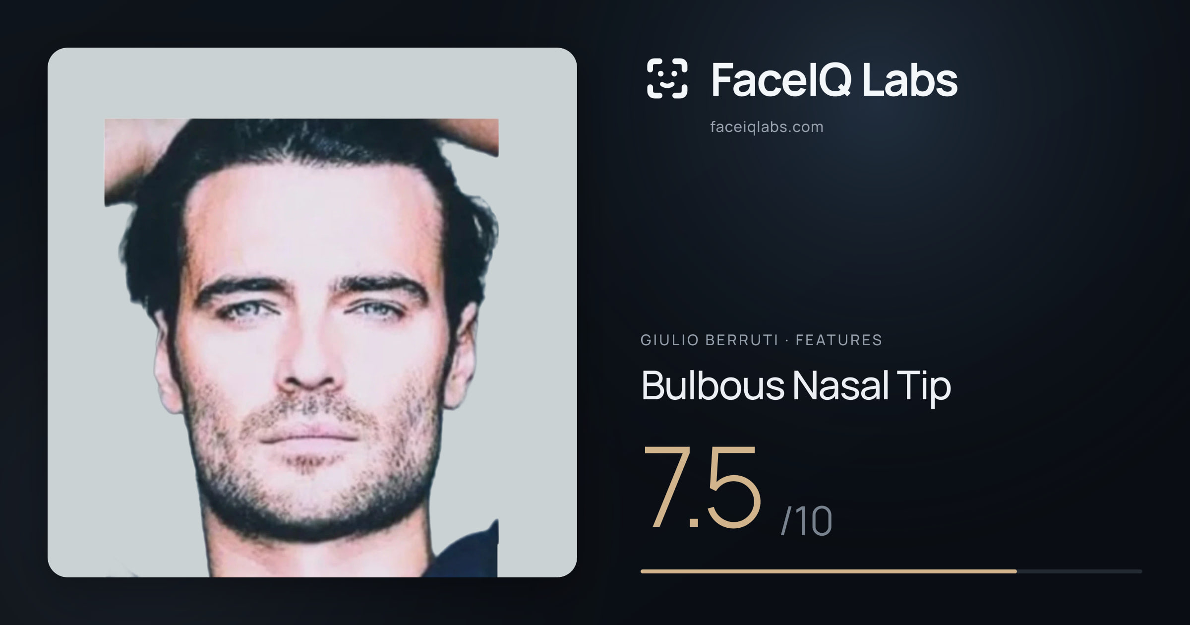 Giulio Berruti Bulbous Nasal Tip: 7.5/10, drawn on the photo