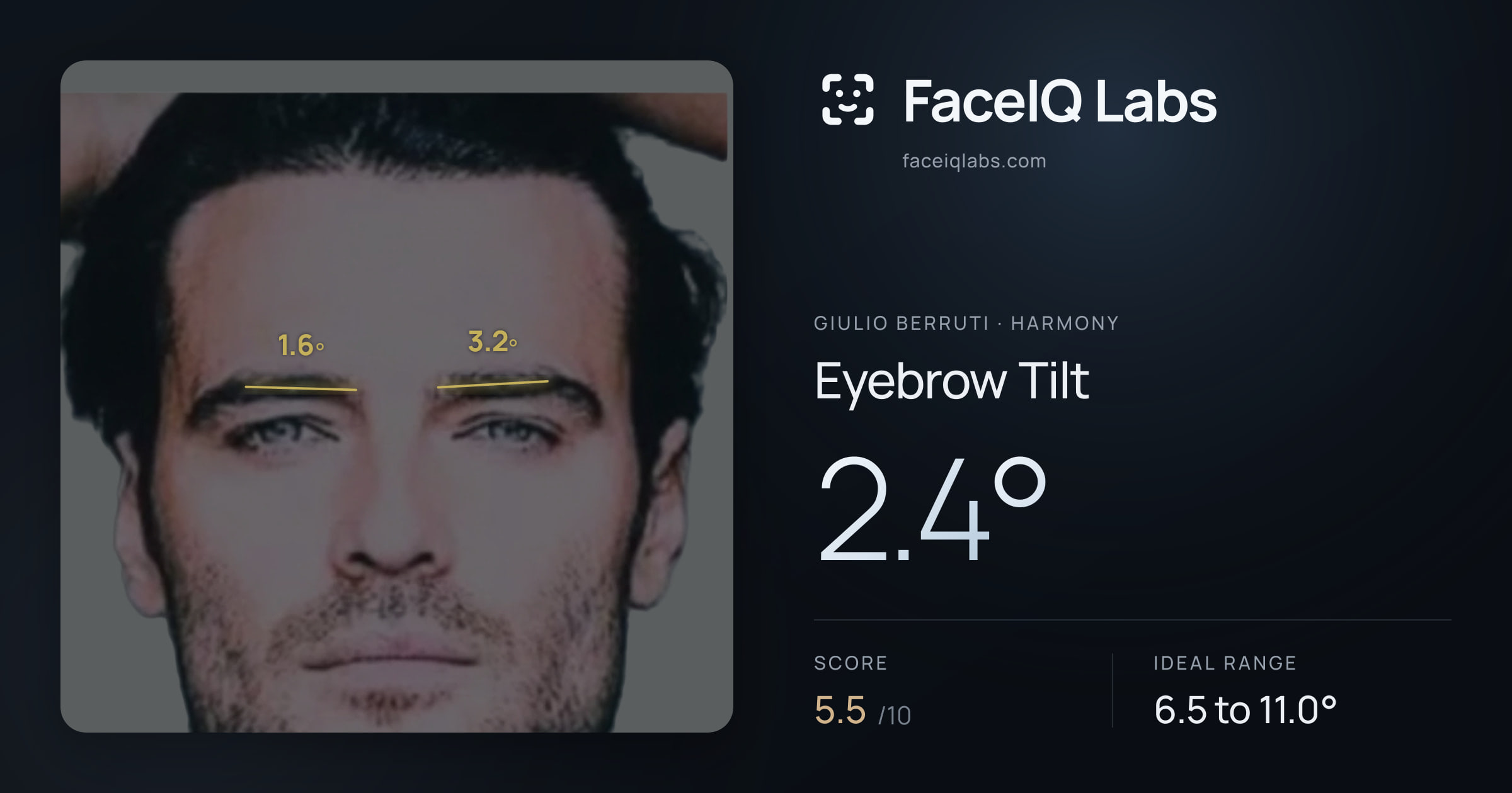 Giulio Berruti Eyebrow Tilt: 2.4°, drawn on the photo