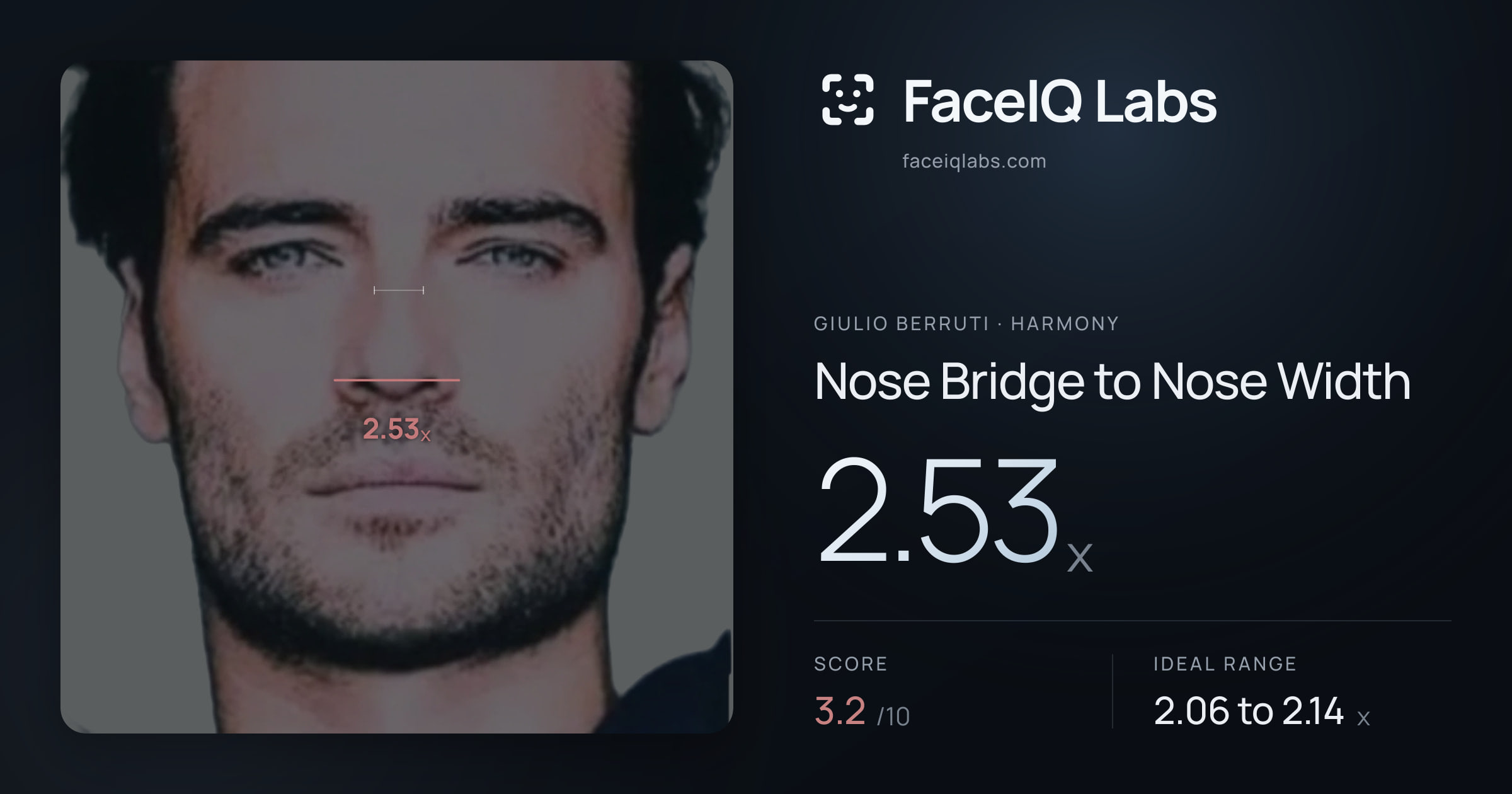 Giulio Berruti Nose Bridge to Nose Width: 2.53x, drawn on the photo