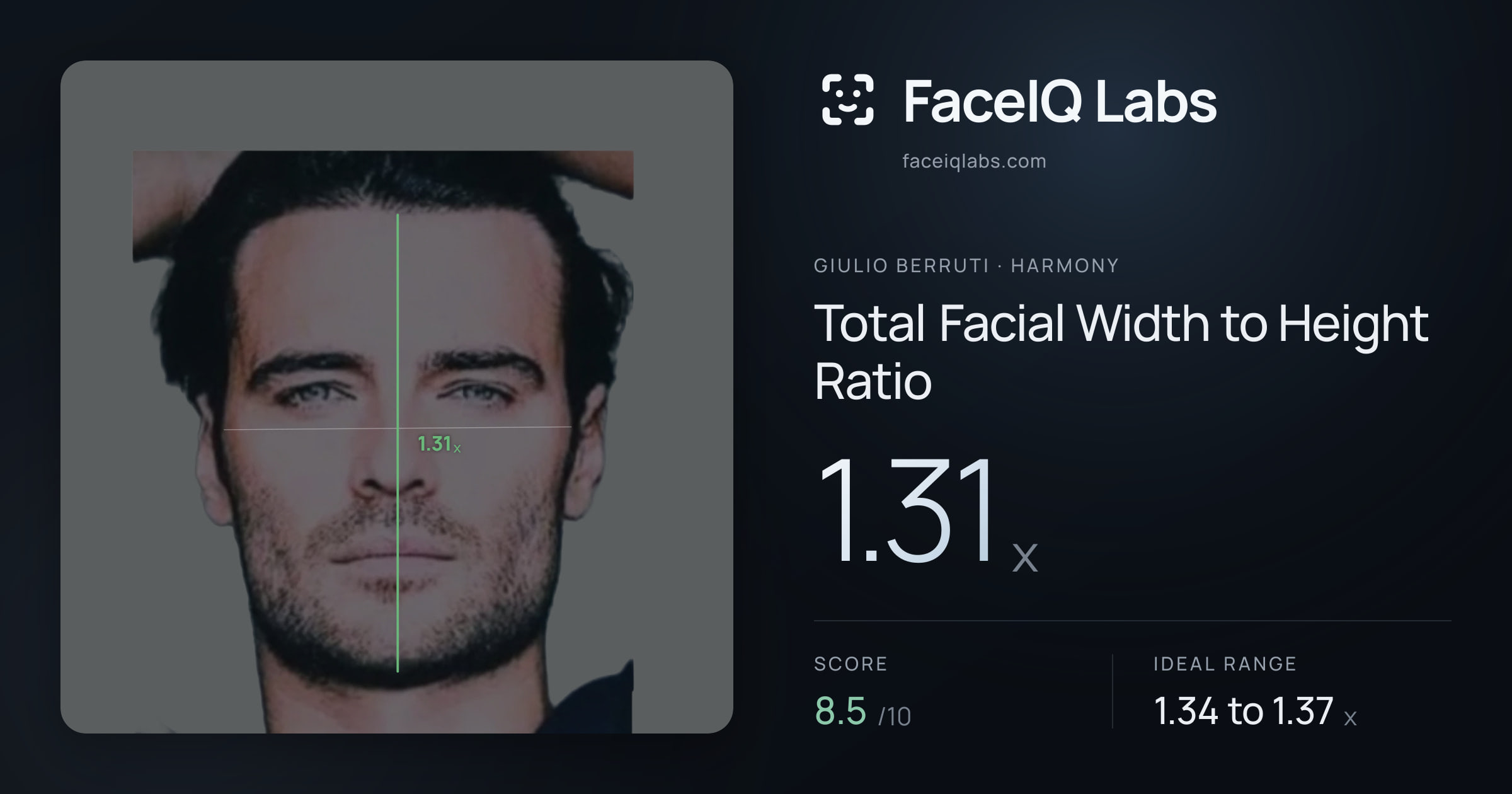 Giulio Berruti Total Facial Width to Height Ratio: 1.31x, drawn on the photo