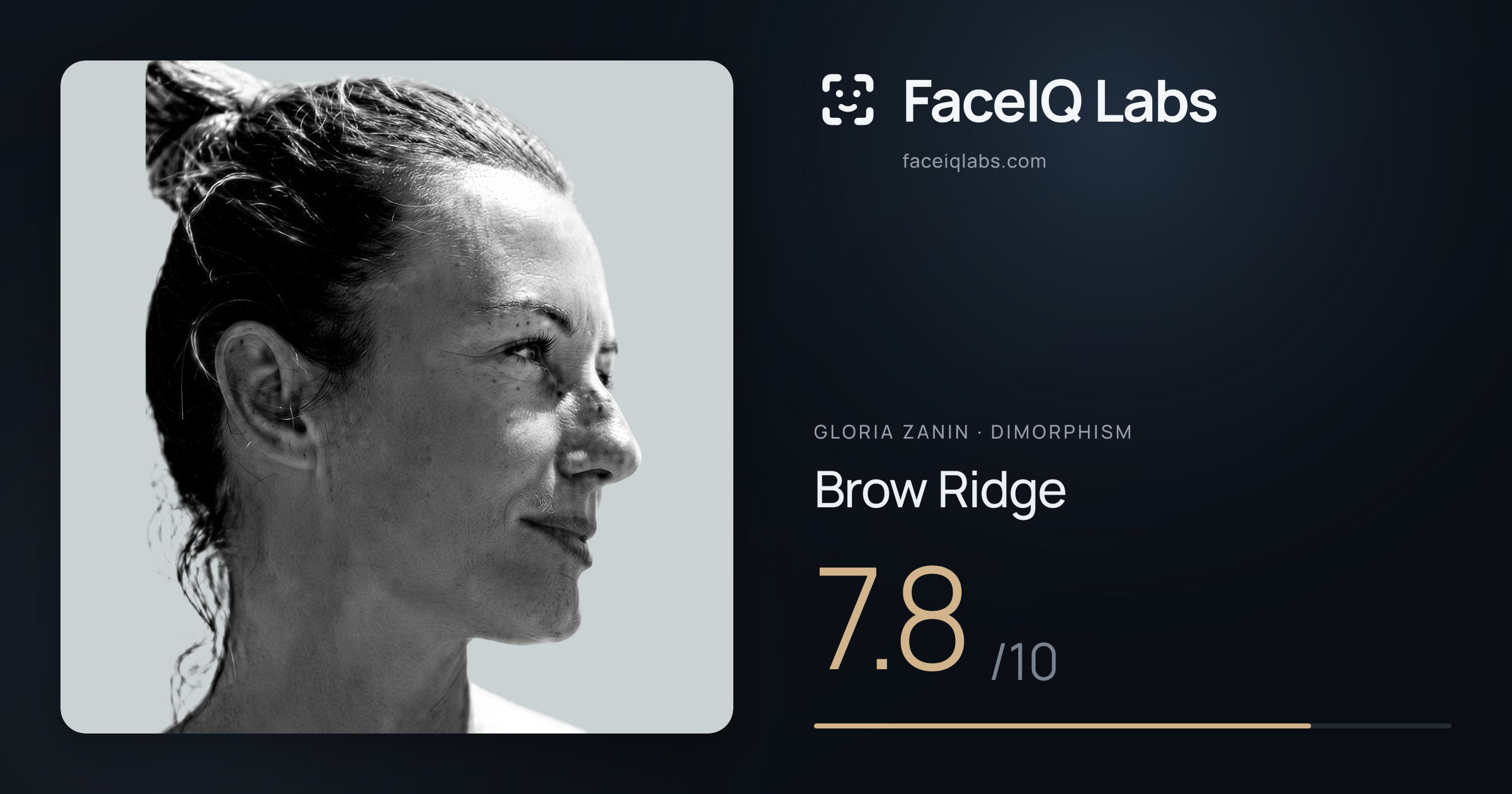 Gloria Zanin Brow Ridge: 7.8/10, drawn on the photo